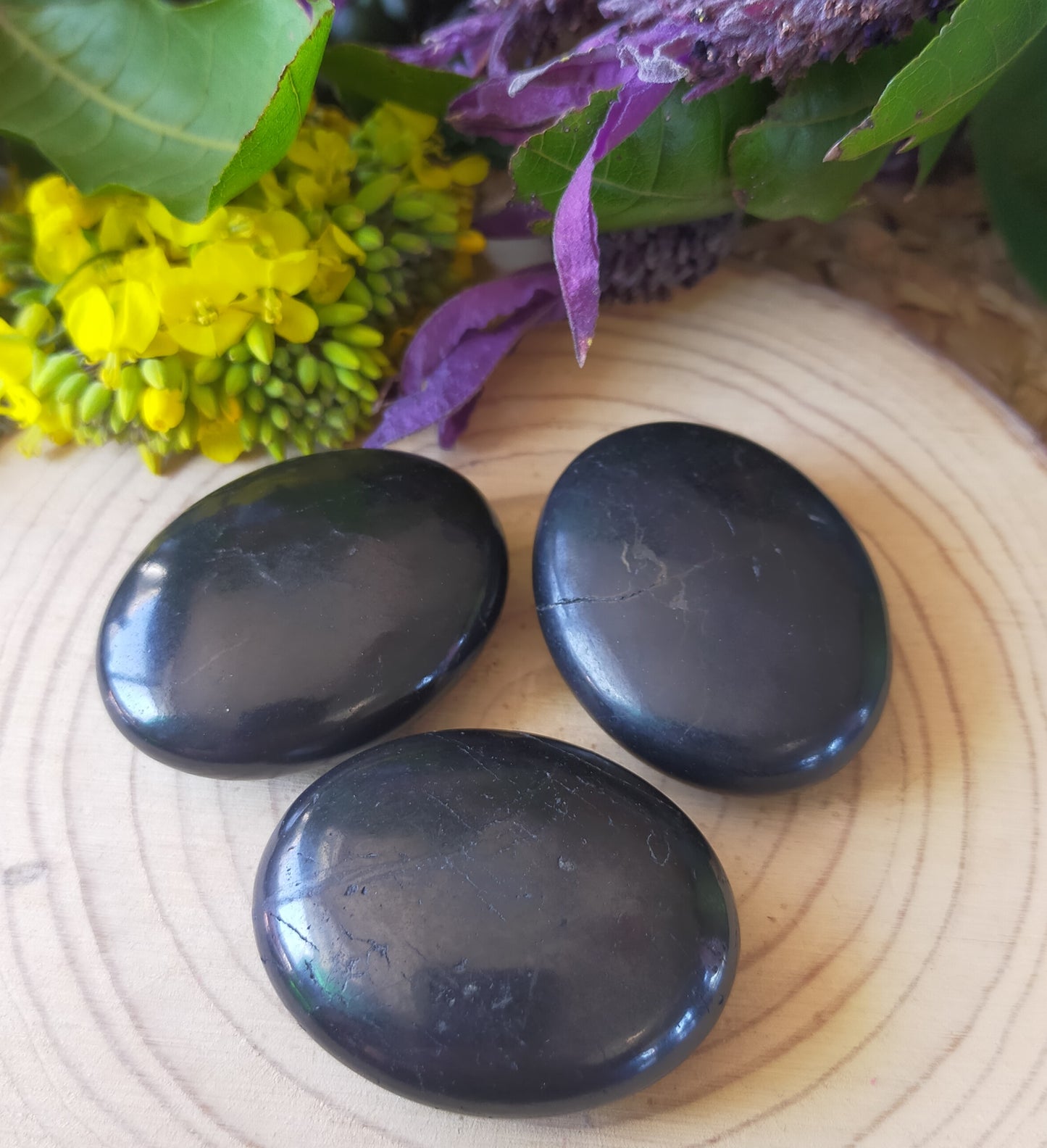 Shungite Palmstones