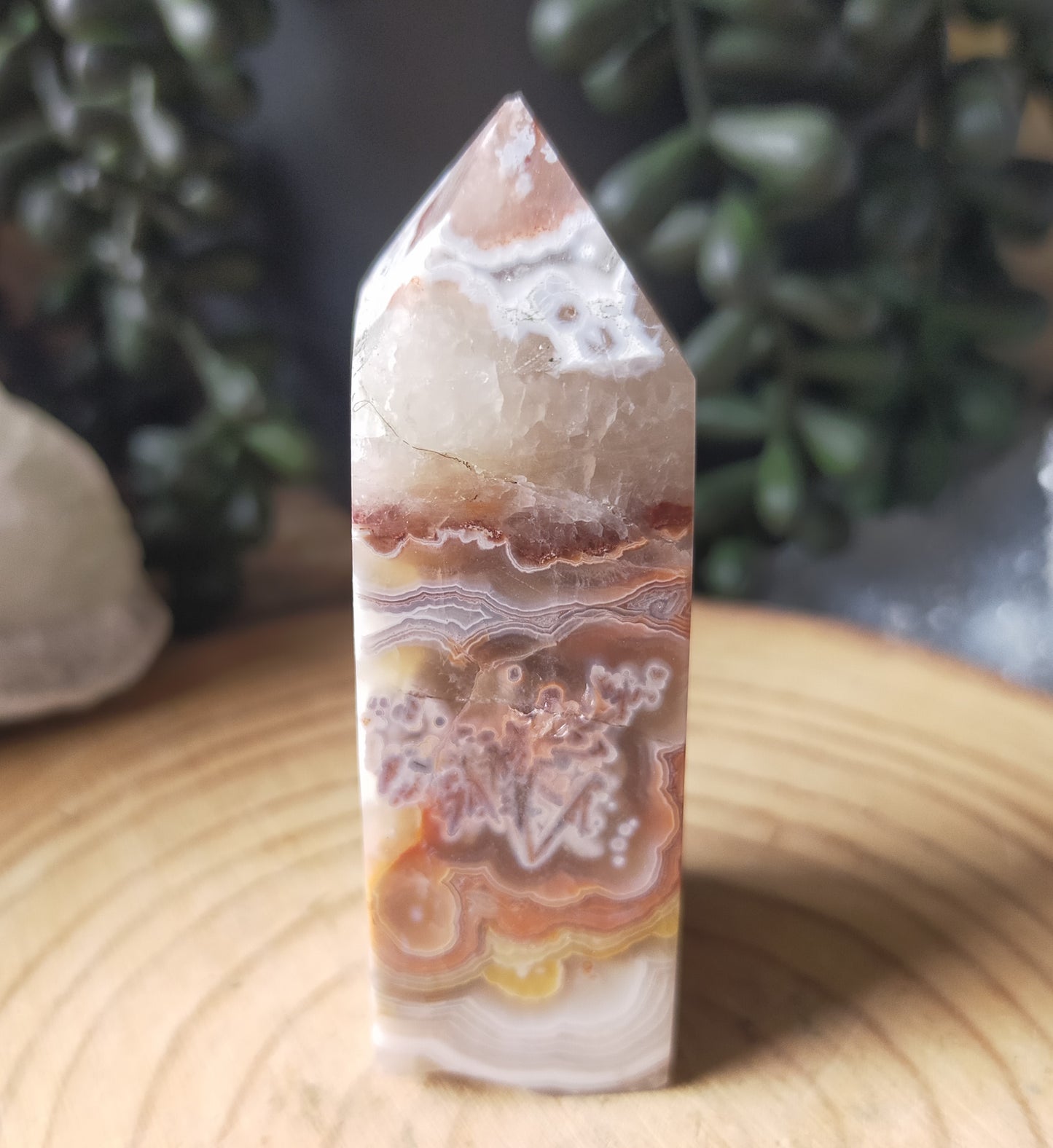 Mexico Agate Point