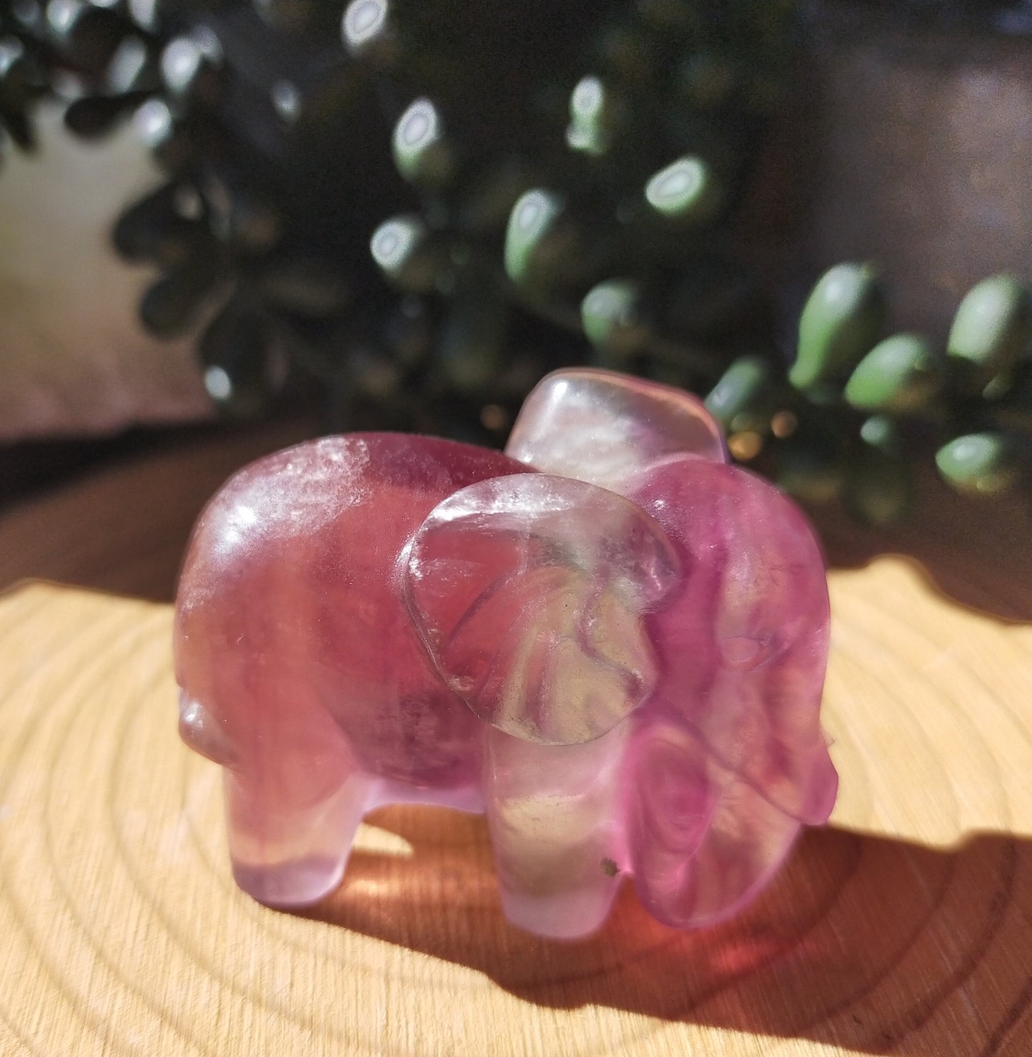 Candy Fluorite Elephants