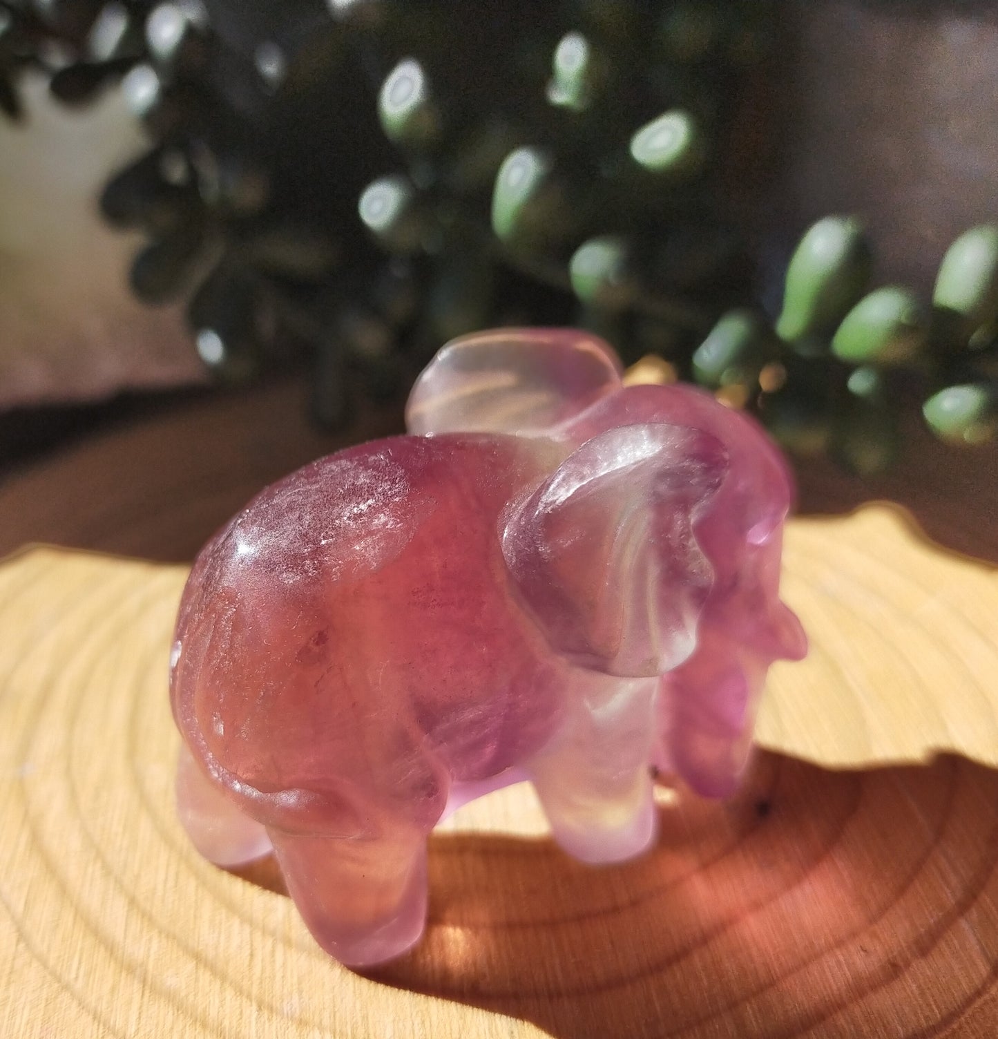 Candy Fluorite Elephants
