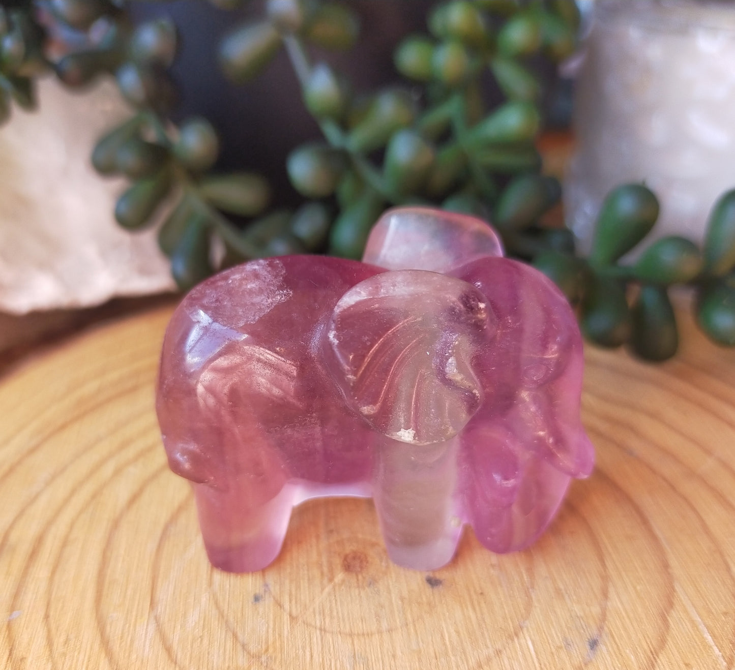 Candy Fluorite Elephants