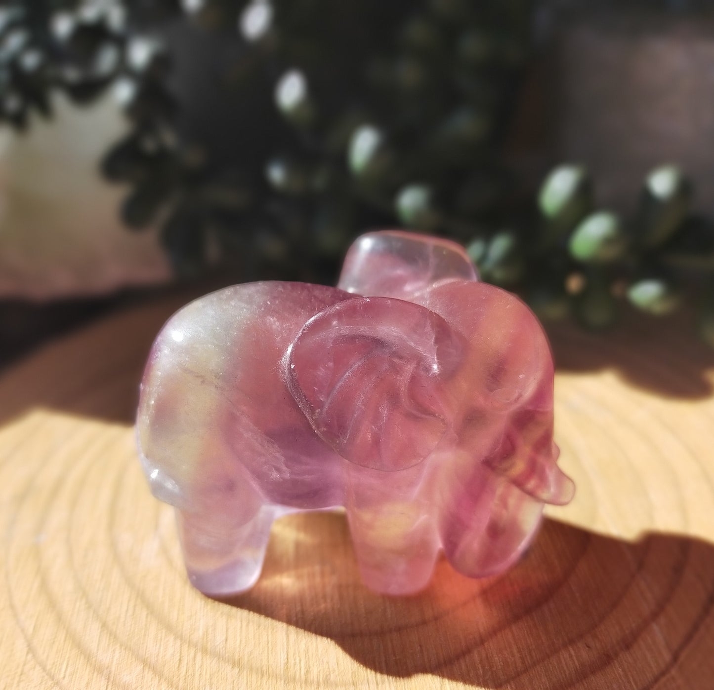 Candy Fluorite Elephants
