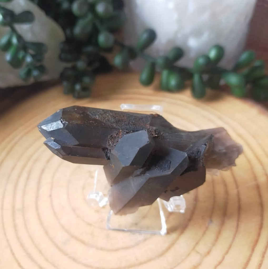 Smokey Quartz Cluster