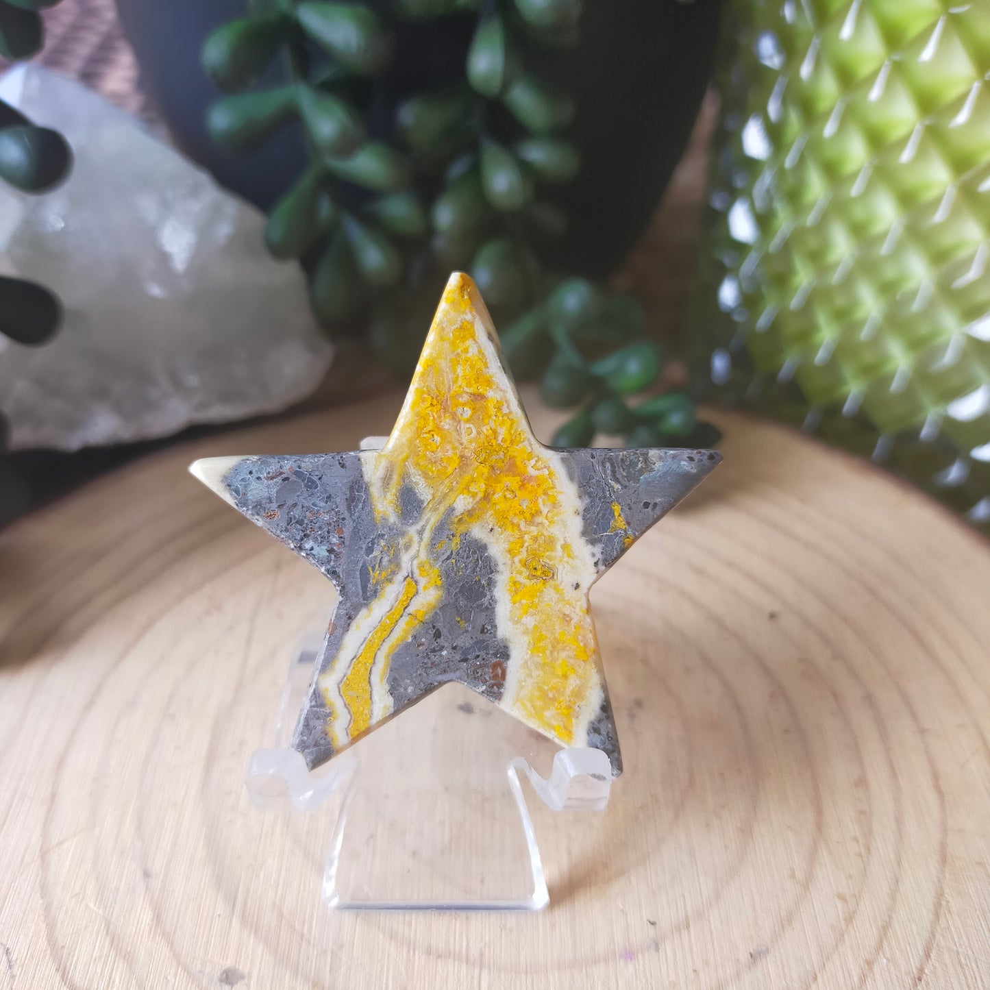 Bumblebee Jasper Stars
