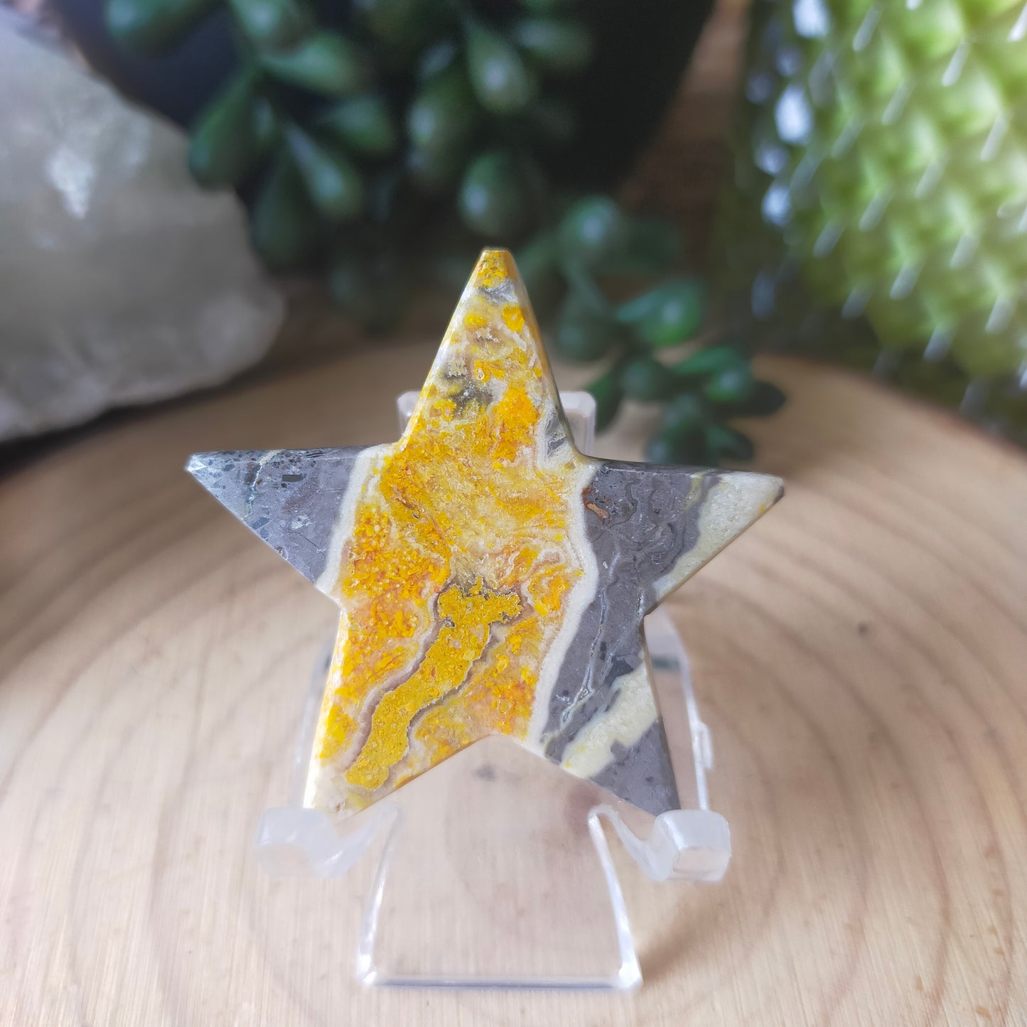 Small Clear Plastic Stands