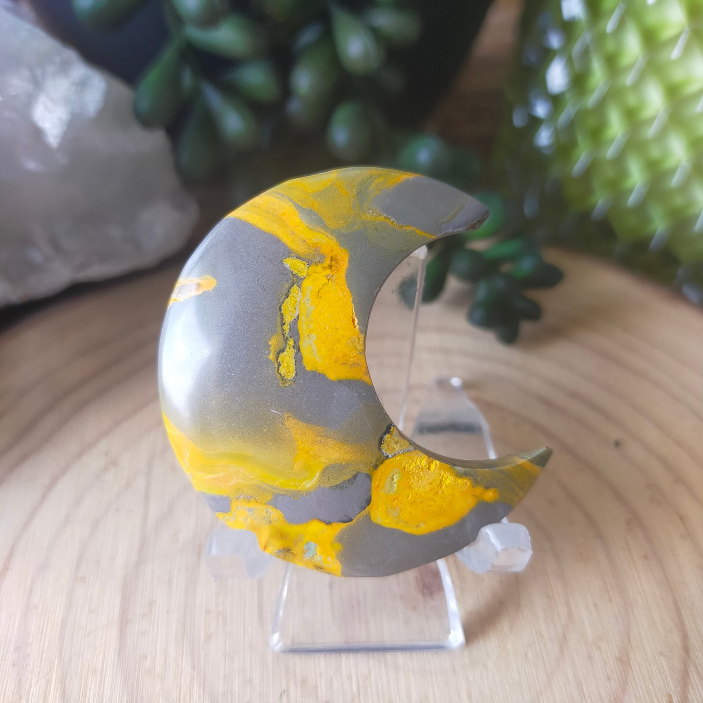Small Clear Plastic Stands