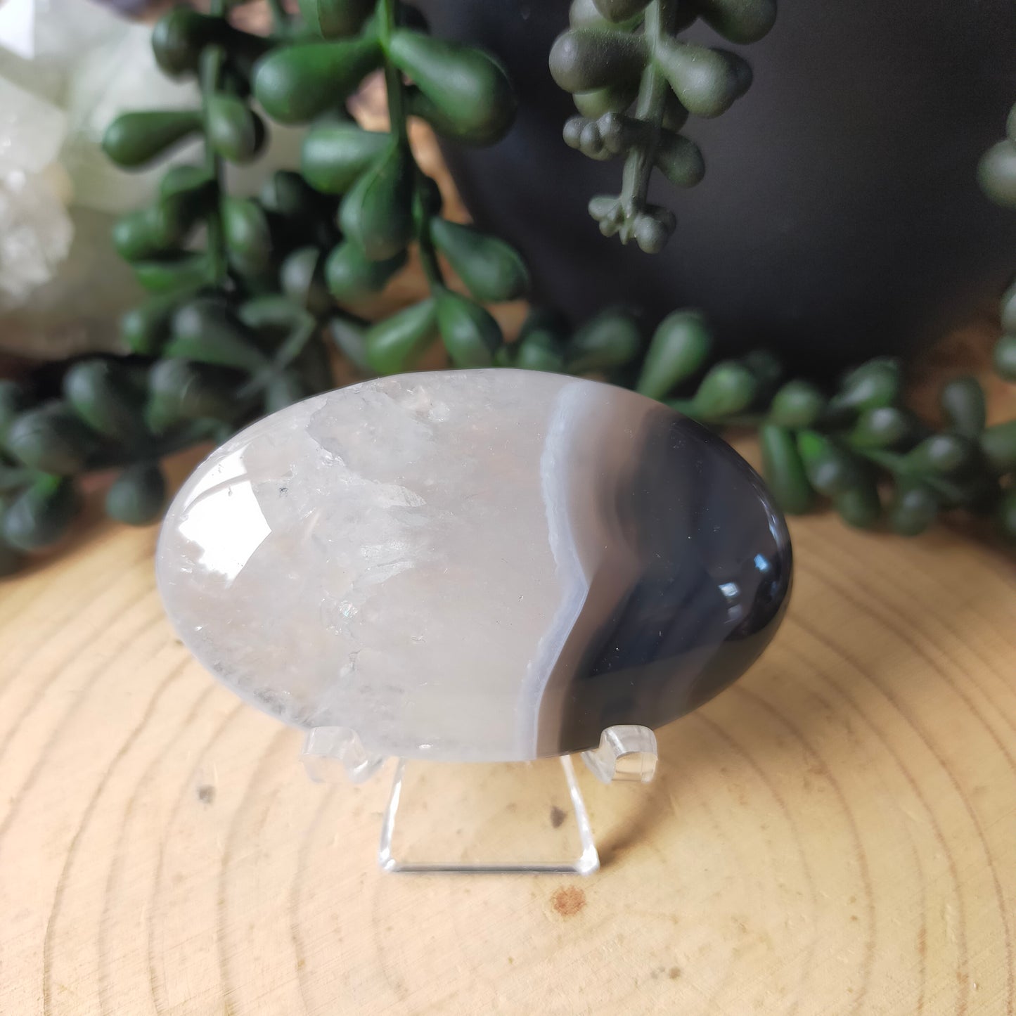 Small Clear Plastic Stands