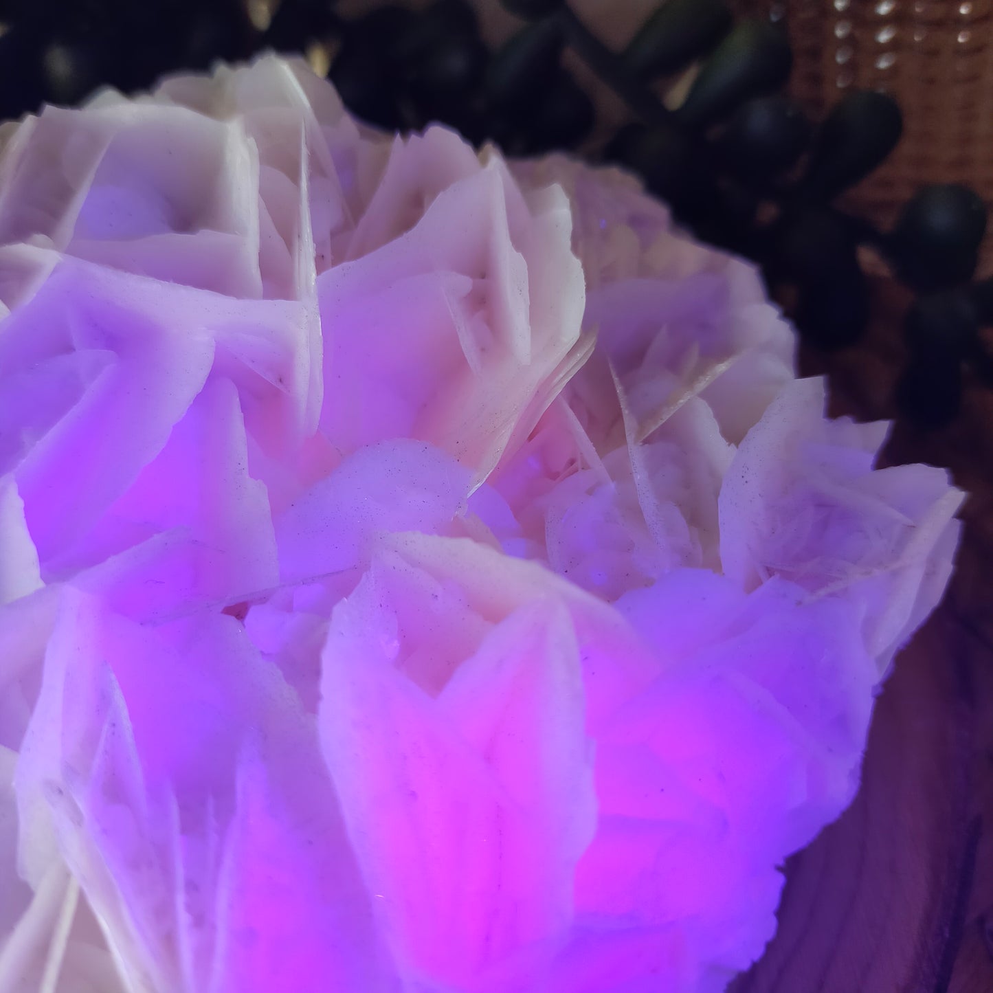 Angel Wing Calcite Specimen