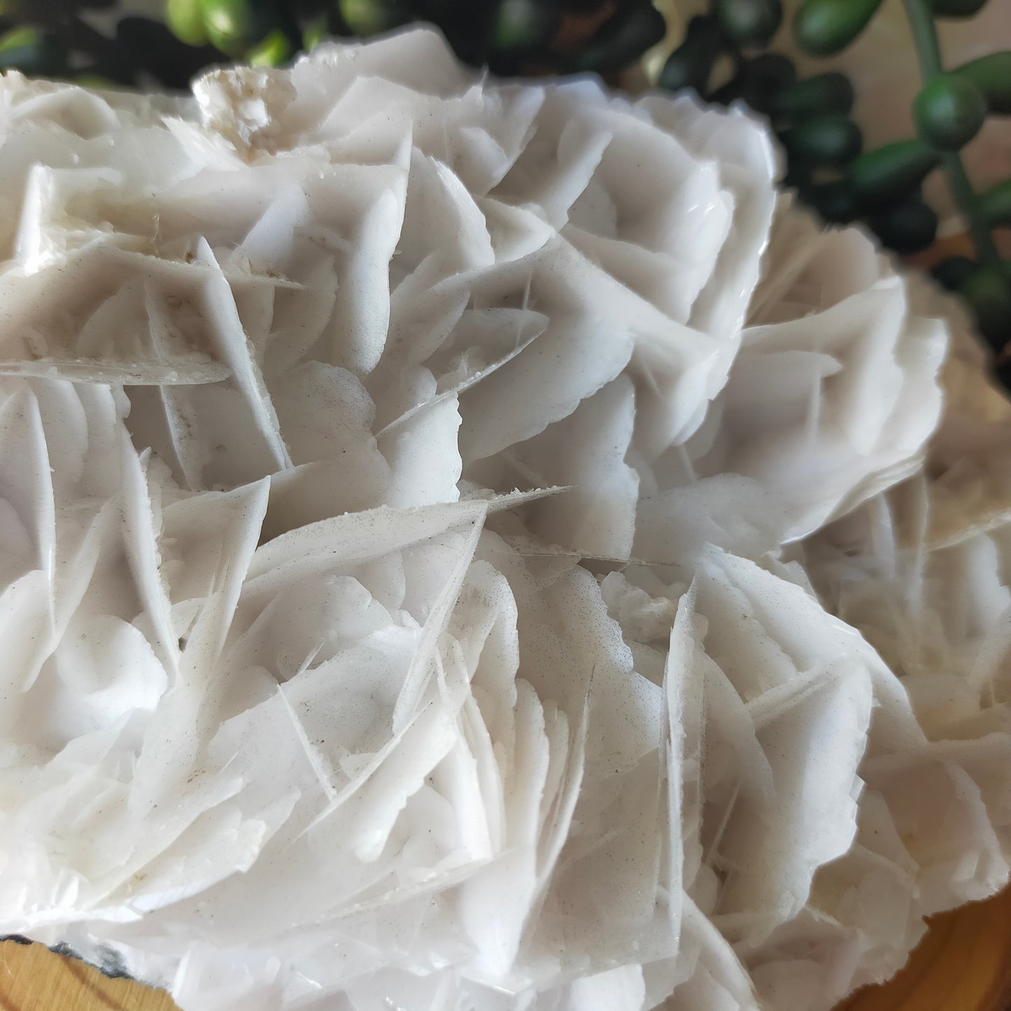 Angel Wing Calcite Specimen