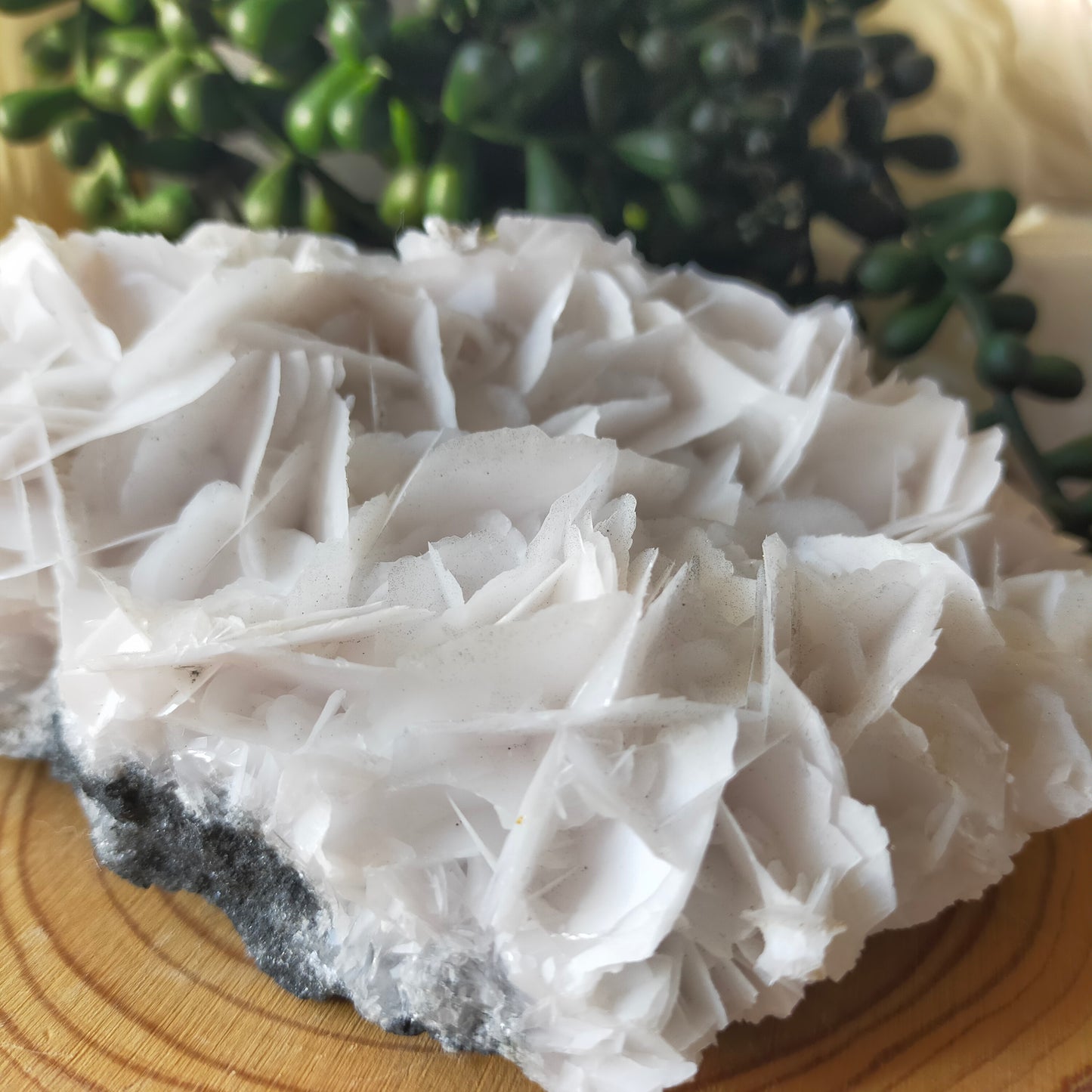 Angel Wing Calcite Specimen