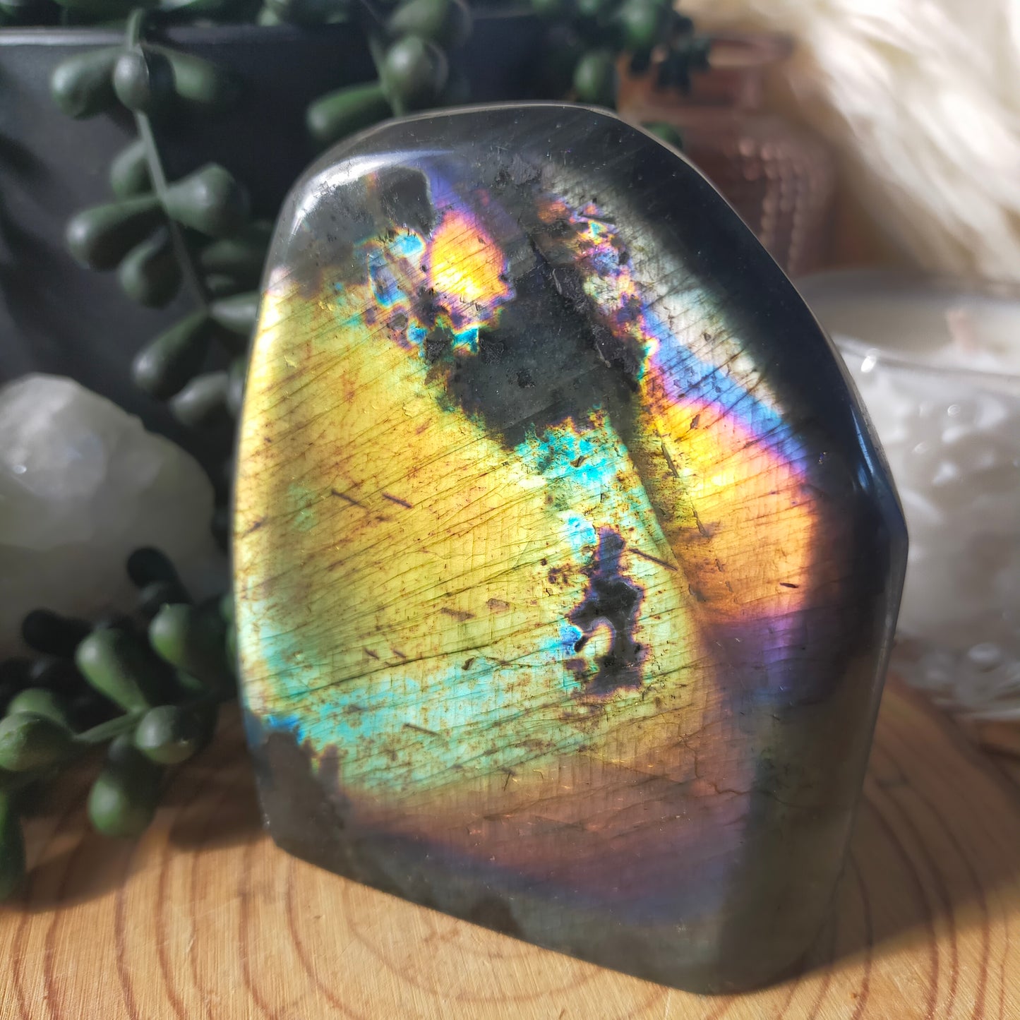 Rainbow Labradorite Freeform