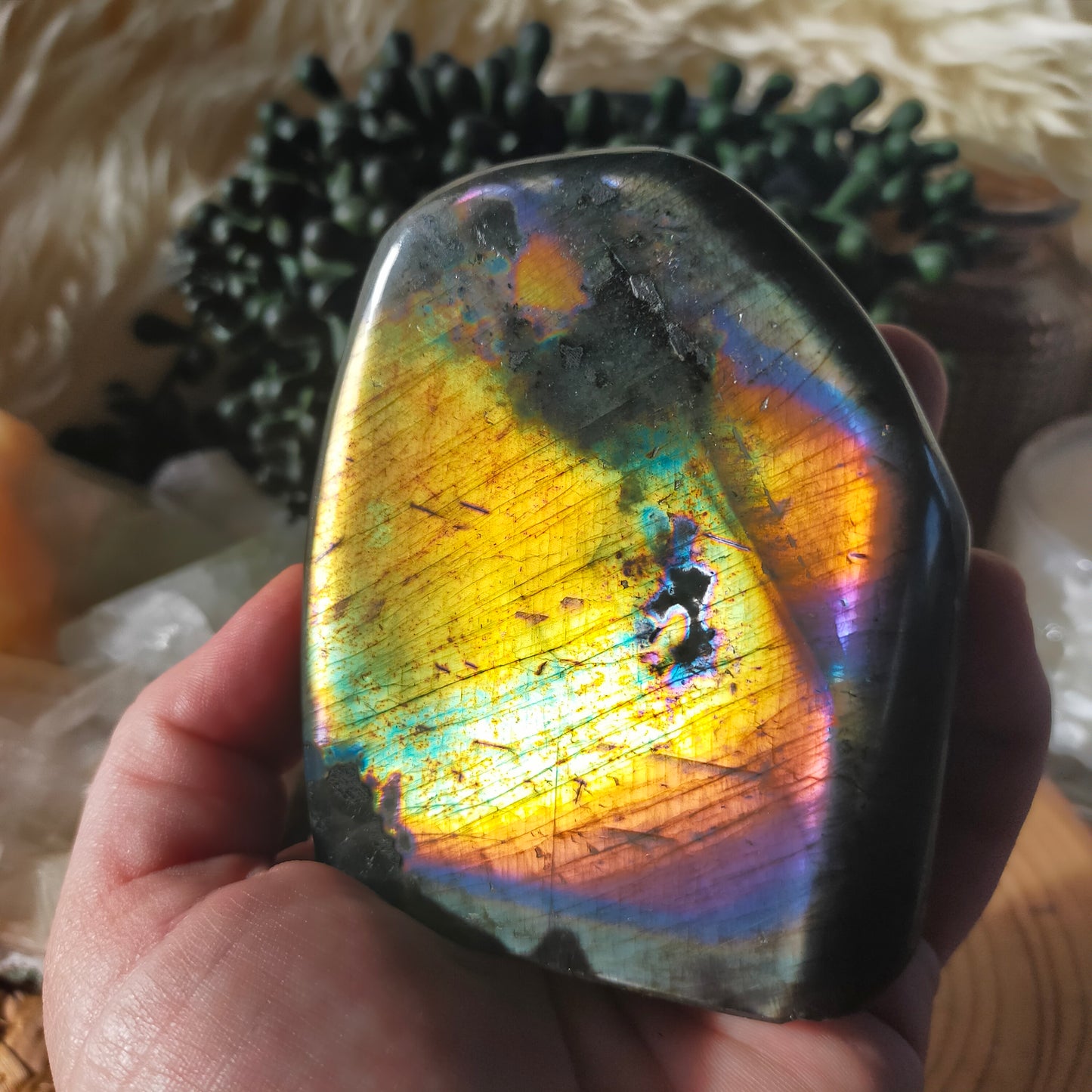 Rainbow Labradorite Freeform