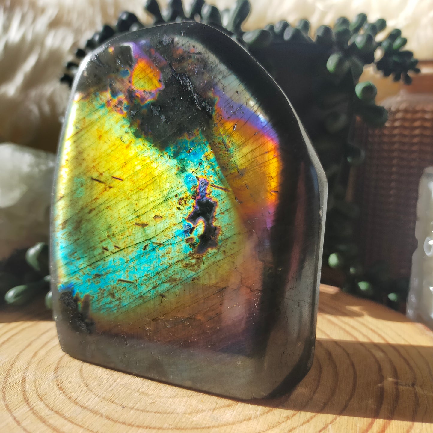 Rainbow Labradorite Freeform