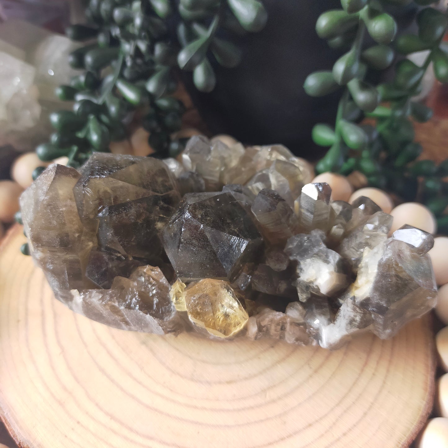 Smokey Quartz Cluster