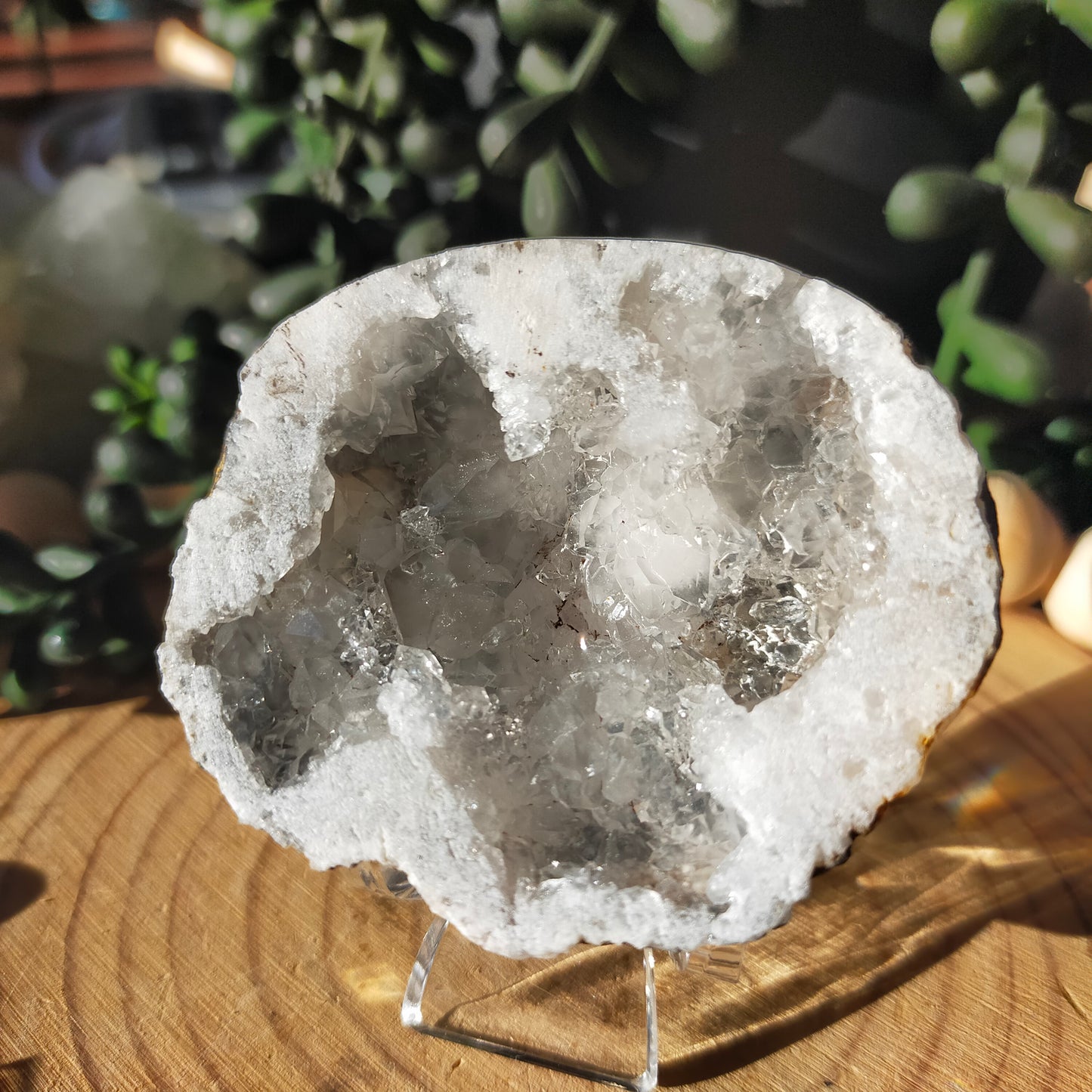 Agate Geode Buddies