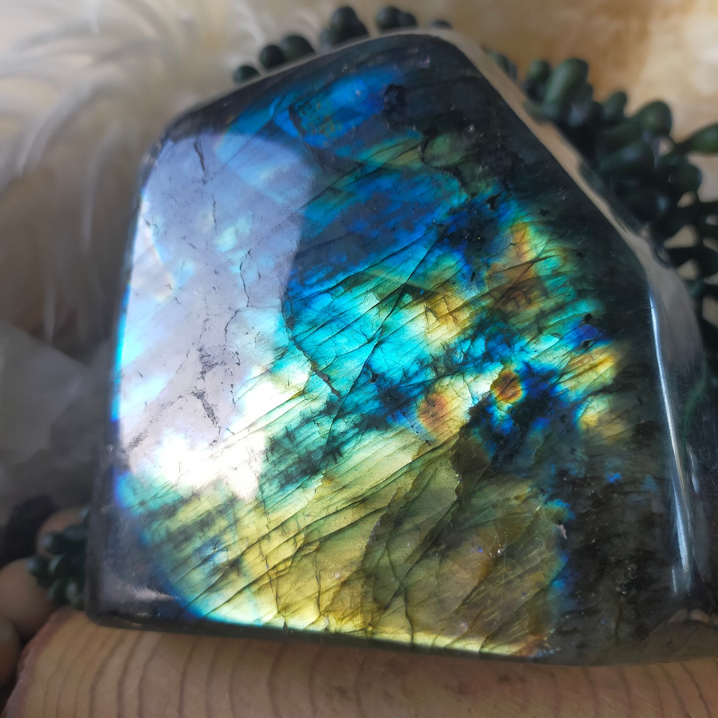 Labradorite Freeform