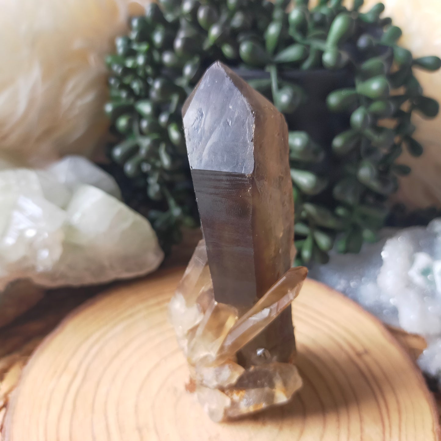 Smokey Quartz Raw Point