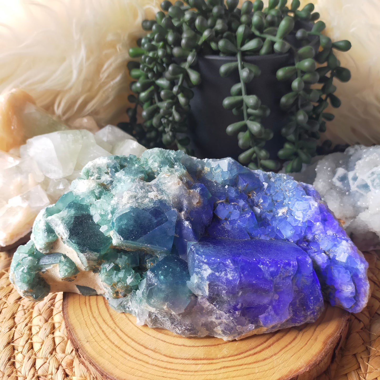 Large Green Fluorite Cluster