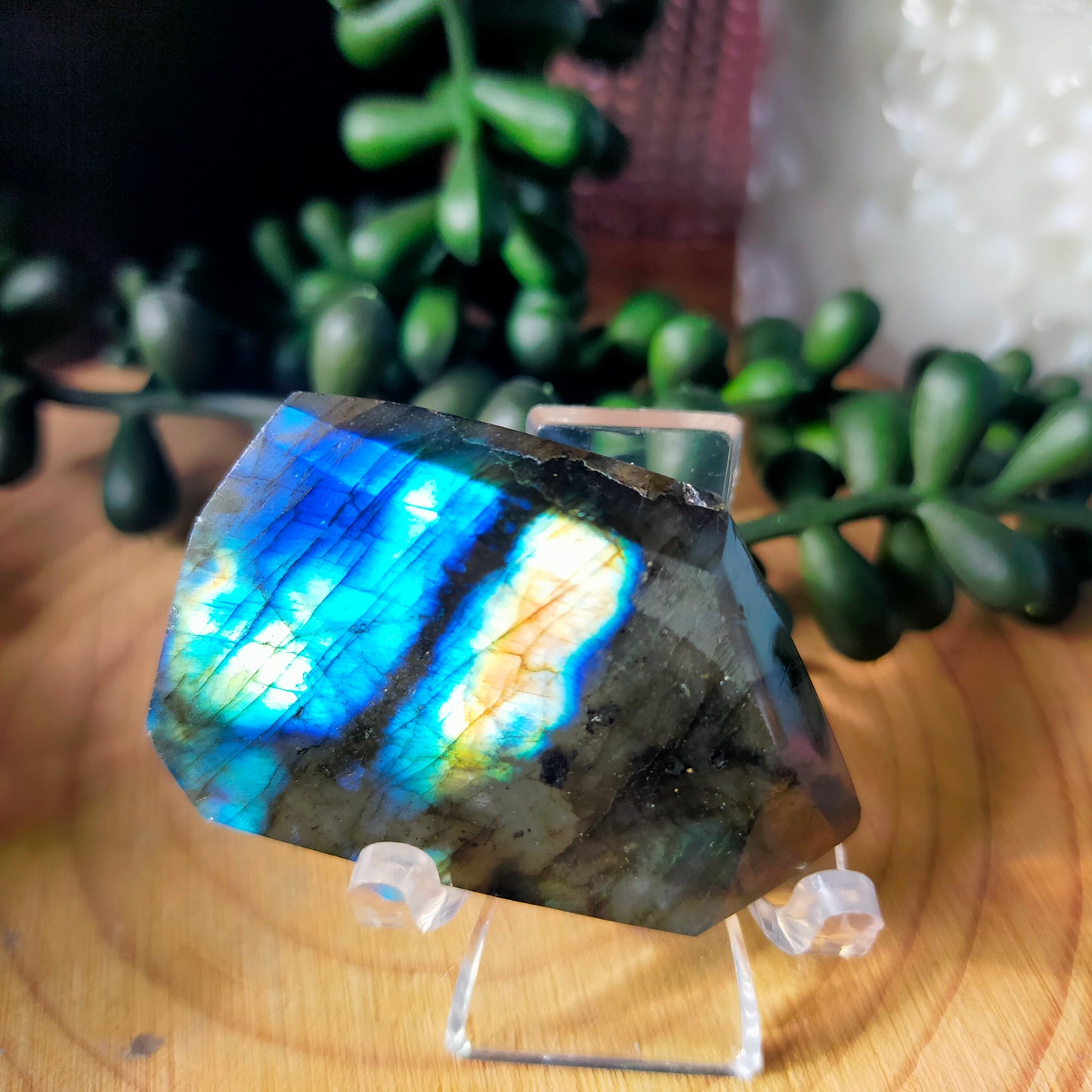 Small Labradorite Freeforms