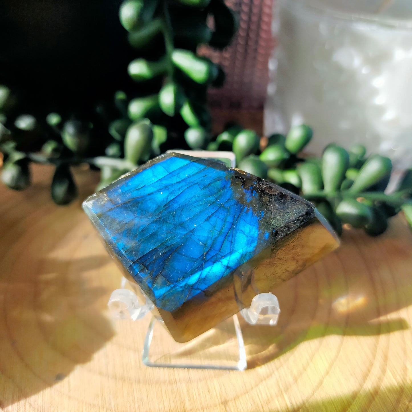 Small Labradorite Freeforms