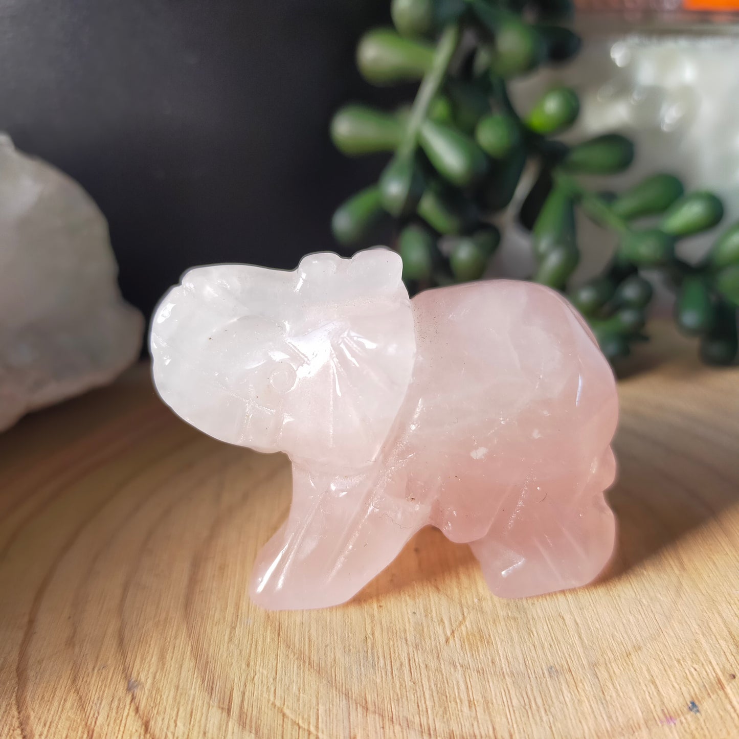 Small Elephant