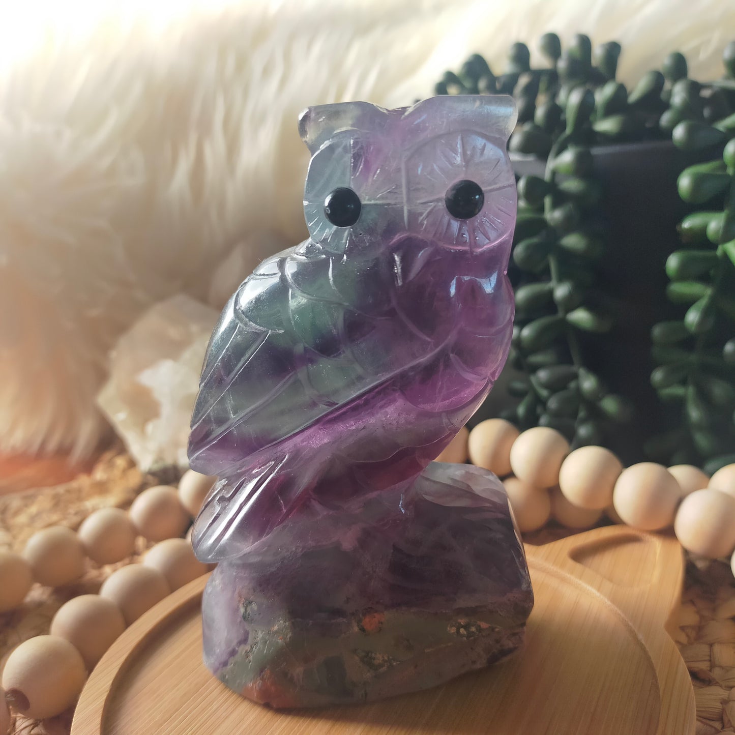 Fluorite Owl