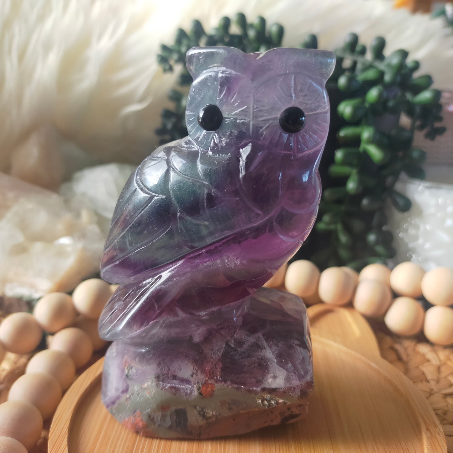 Fluorite Owl