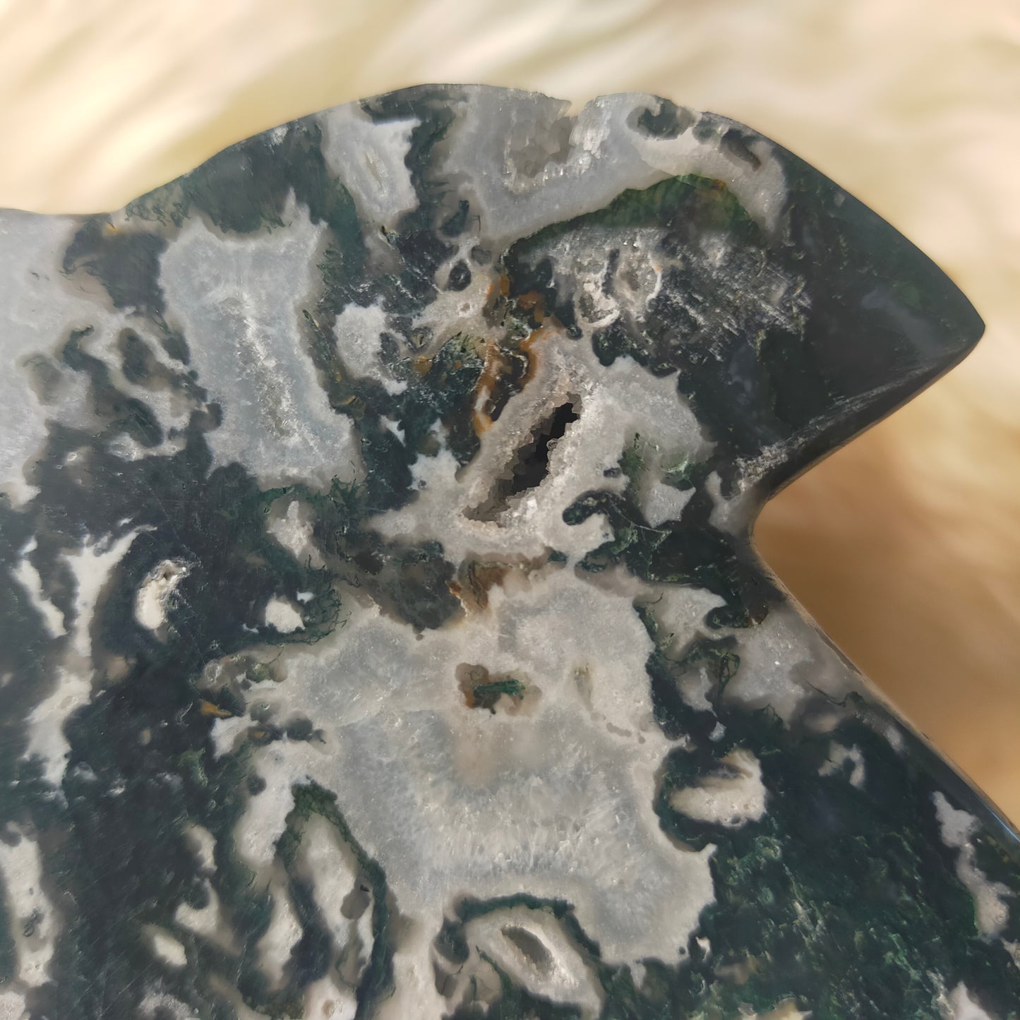 Large Moss Agate Dolphin