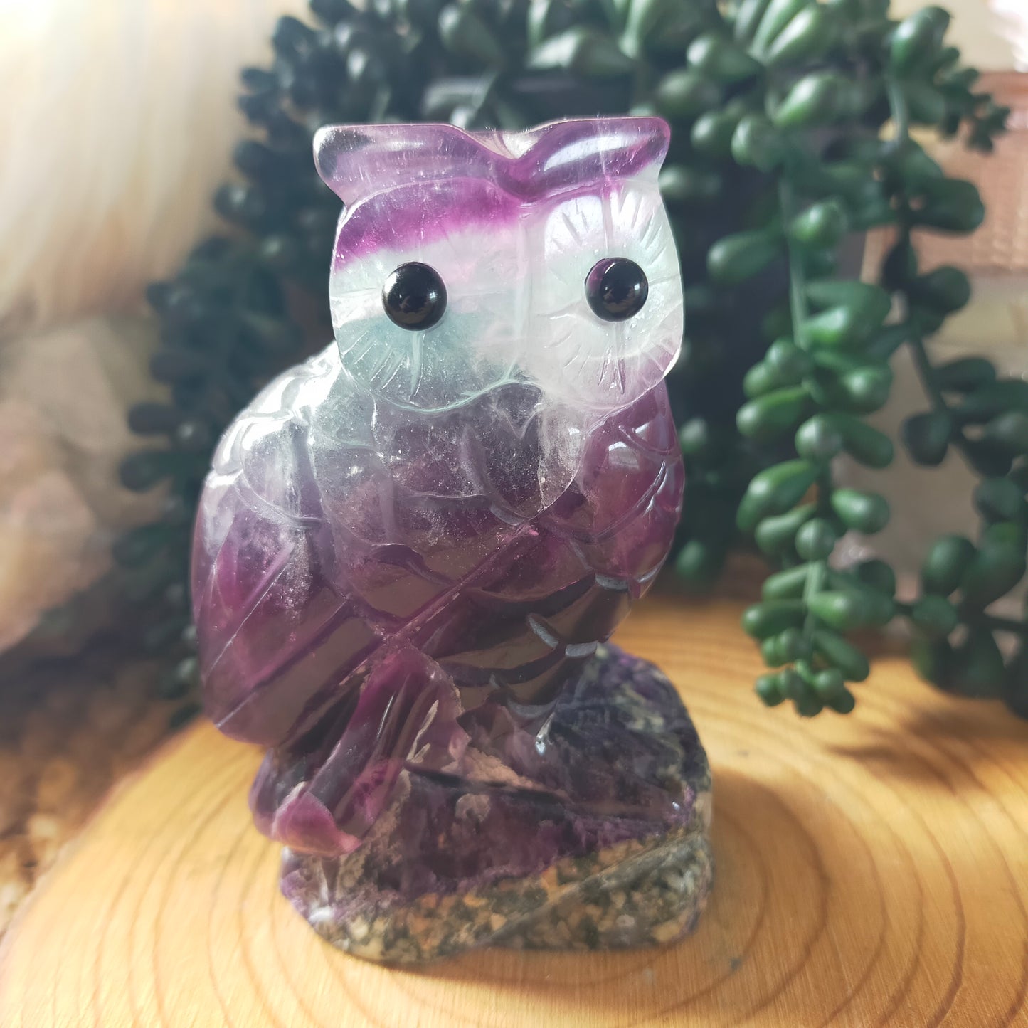Fluorite Owl