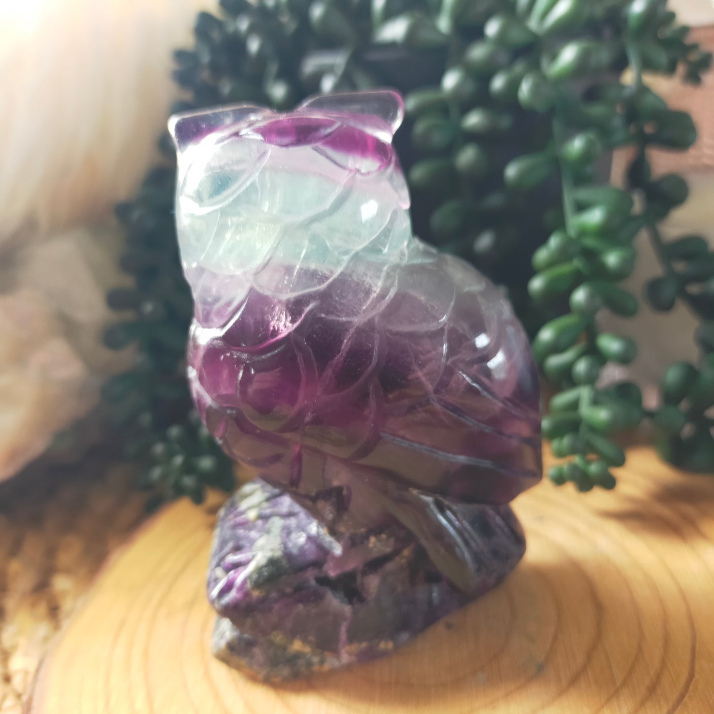 Fluorite Owl