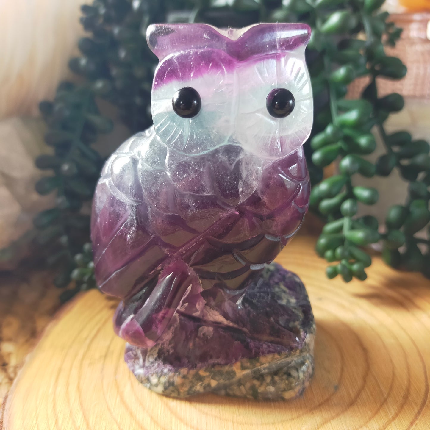 Fluorite Owl