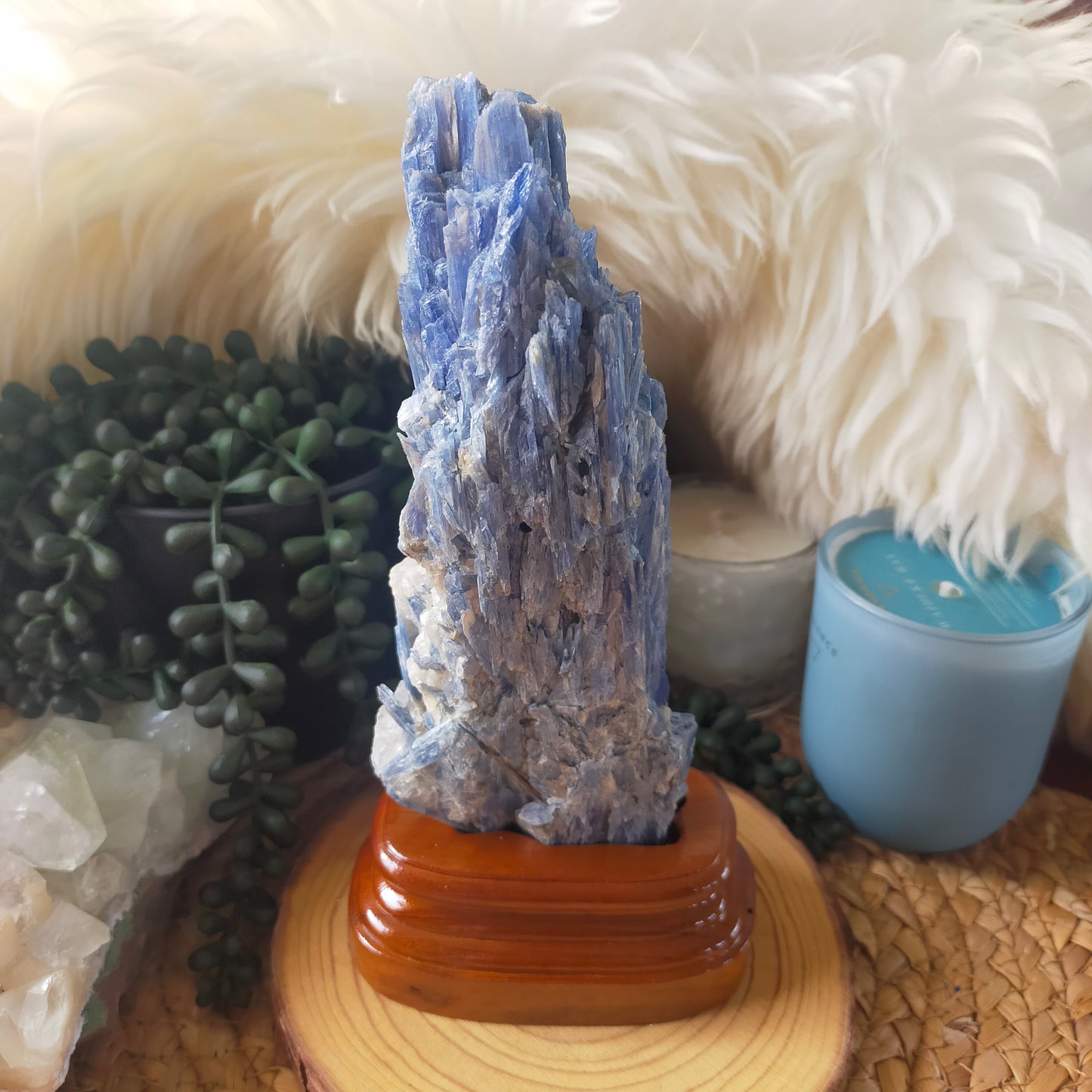 Raw Blue Kyanite