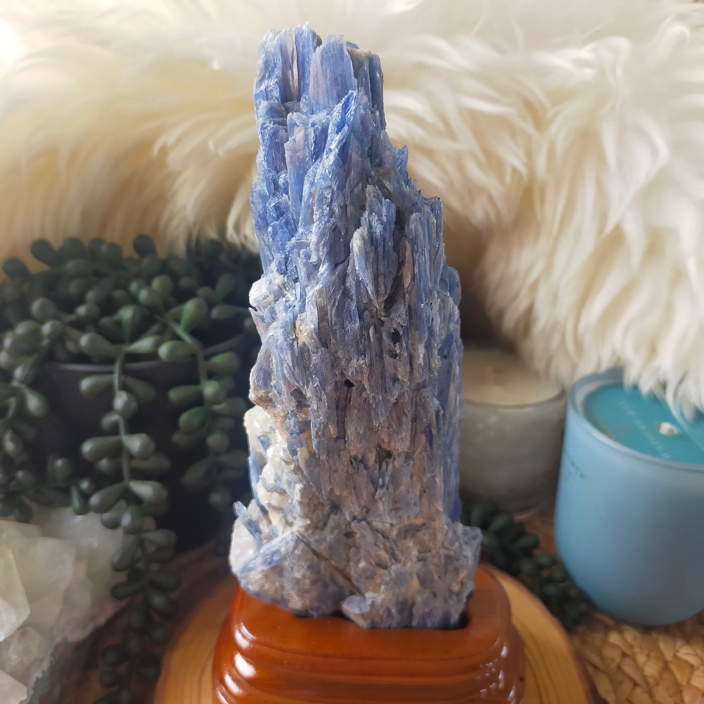 Raw Blue Kyanite