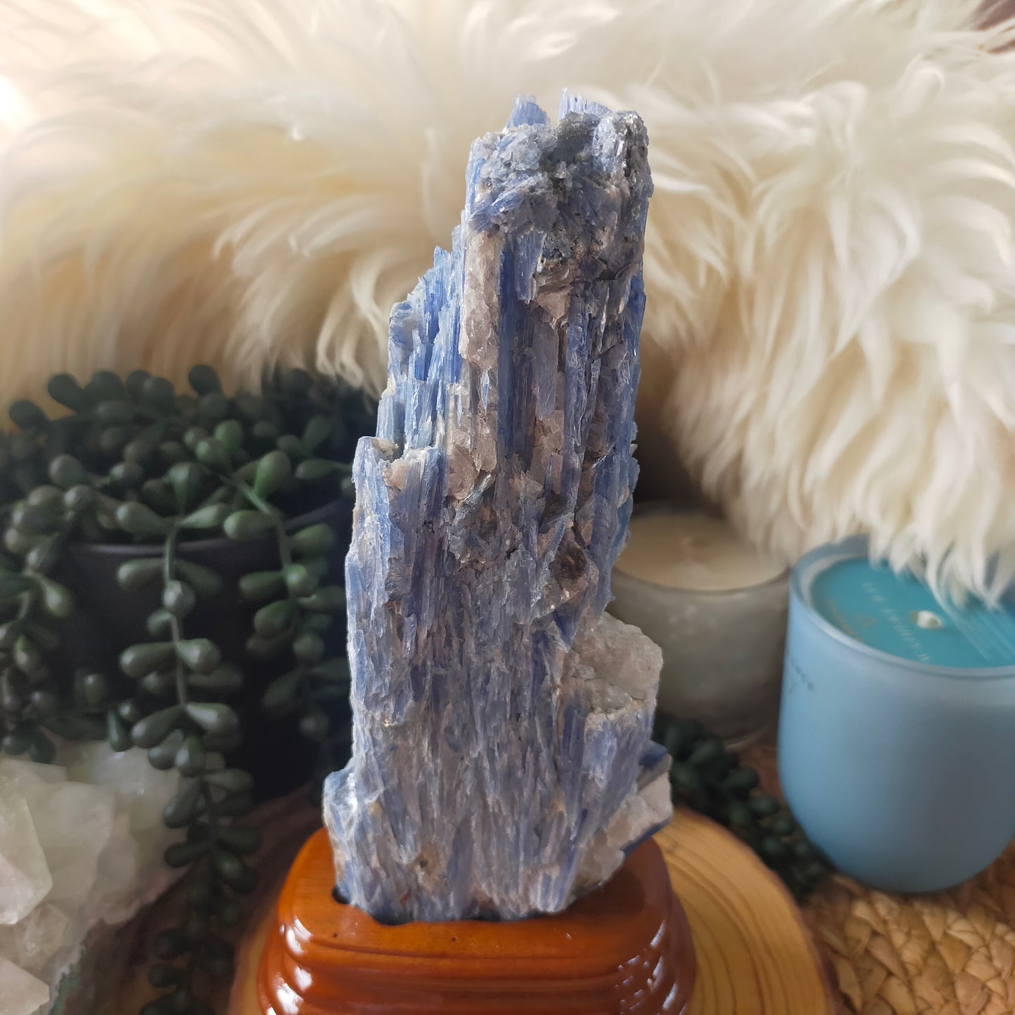 Raw Blue Kyanite