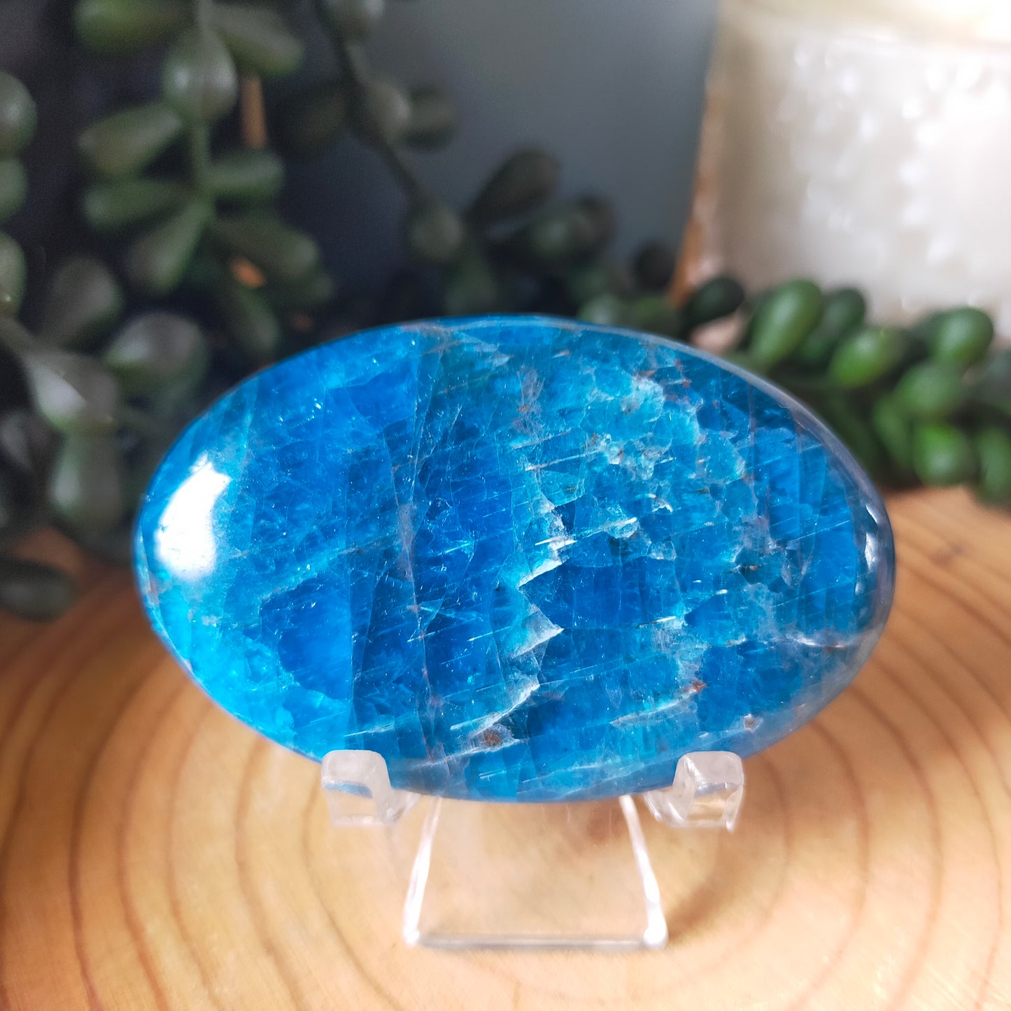Blue Apatite Palmstones