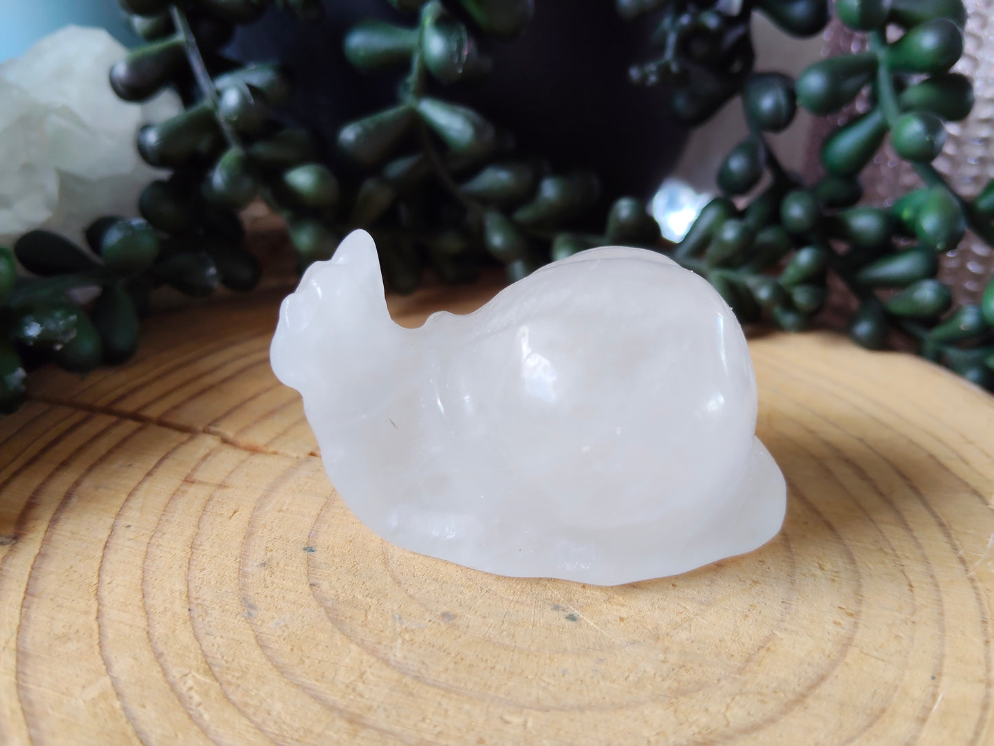 Crystal Snails