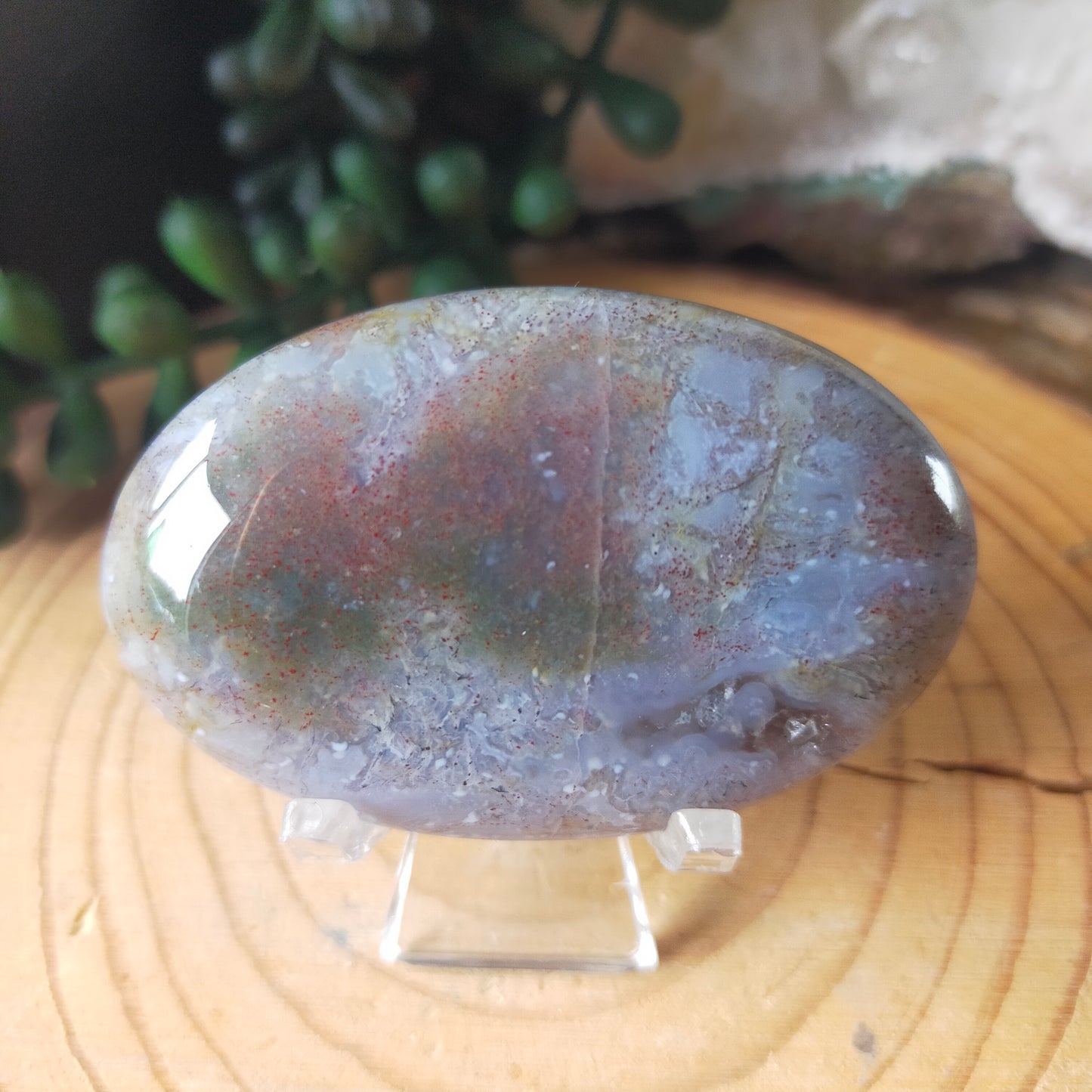 Ocean Jasper Palmstone