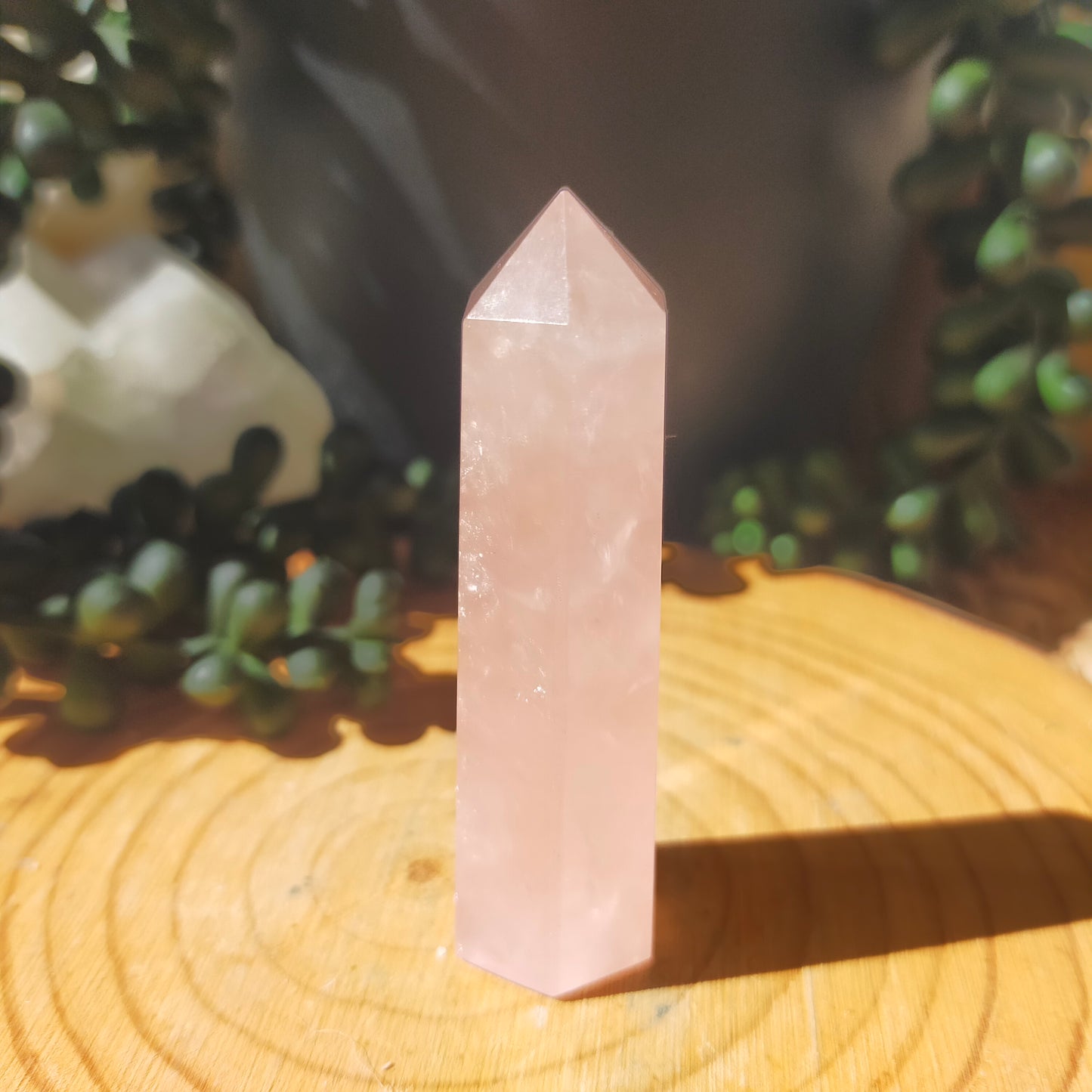 Rose Quartz Points