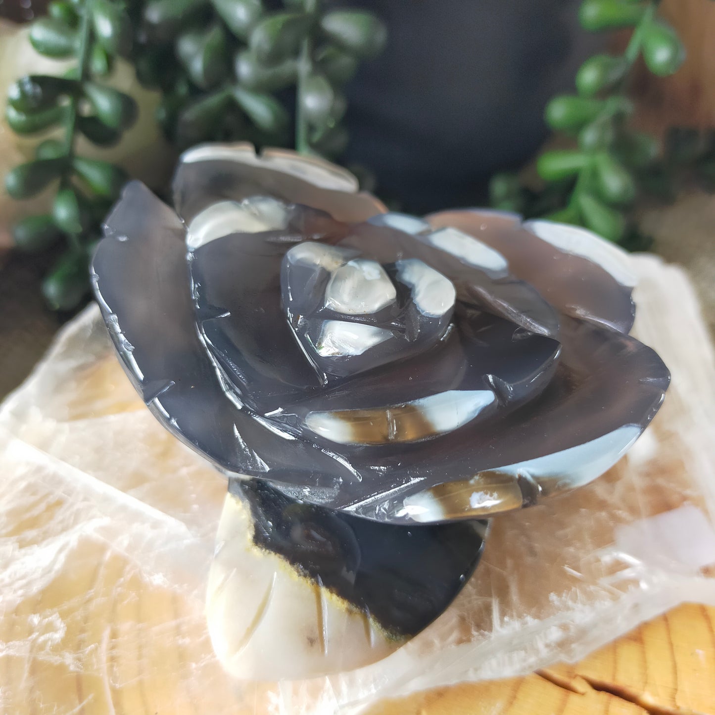 Volcano Agate Flowers