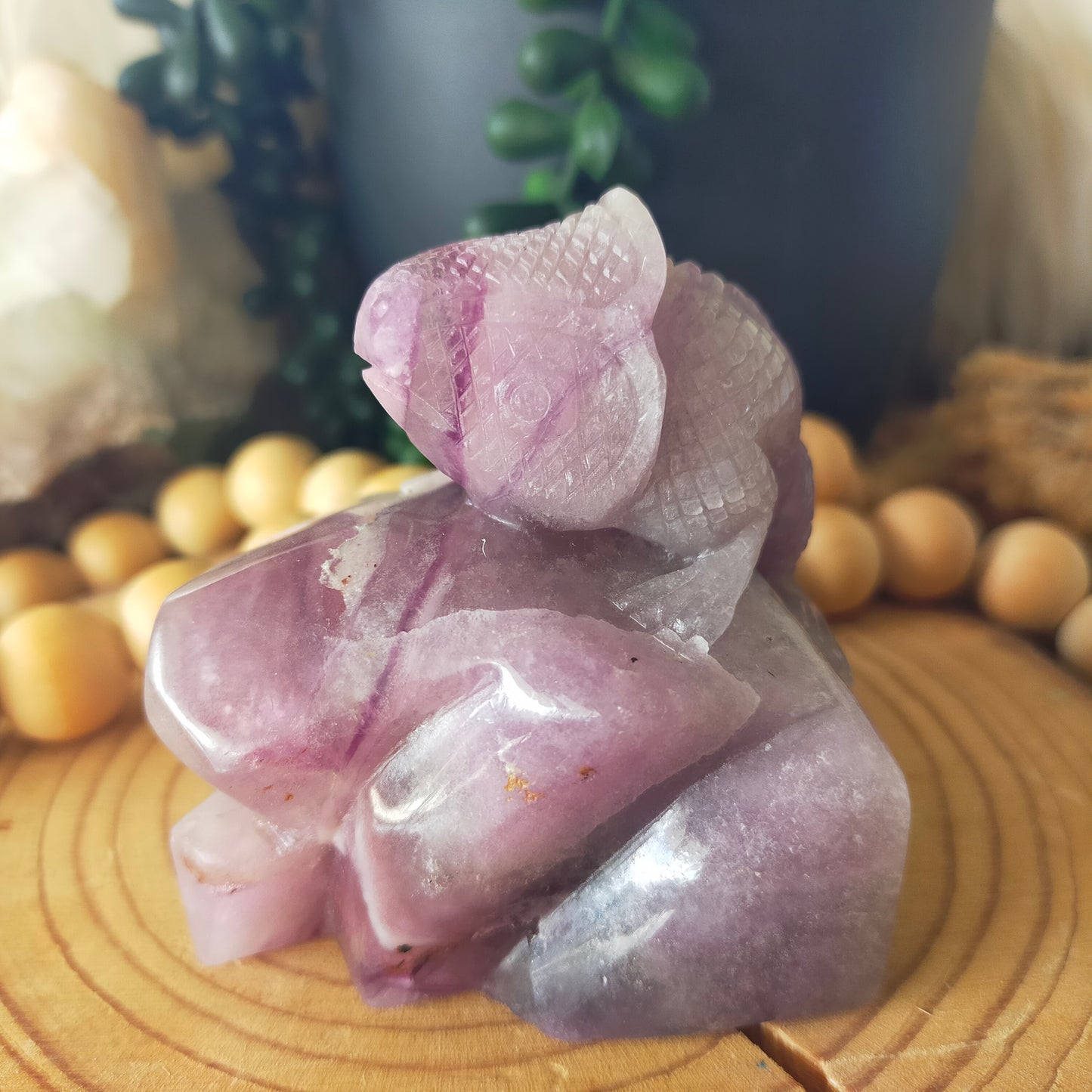 Fluorite Chameleon