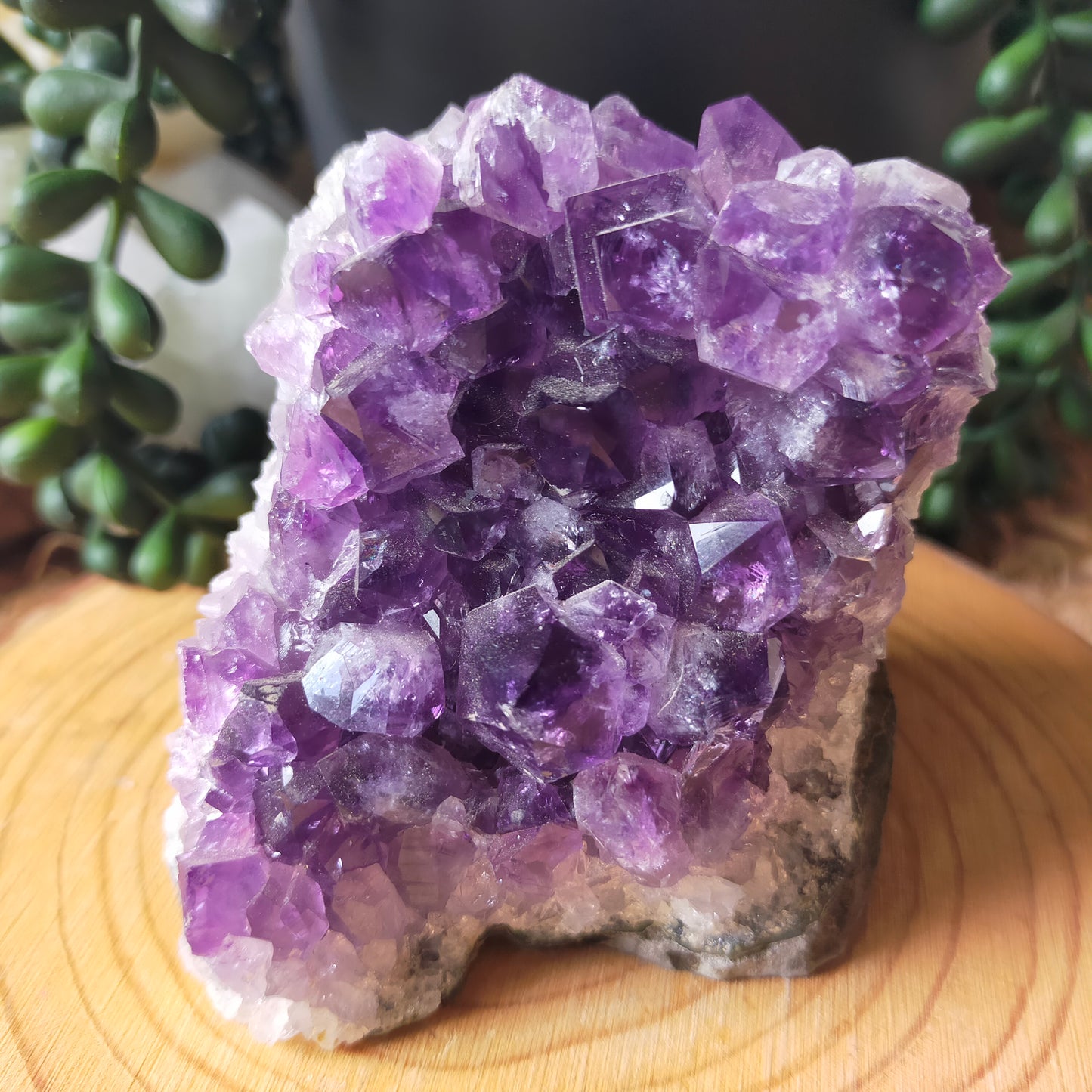 Amethyst Cluster