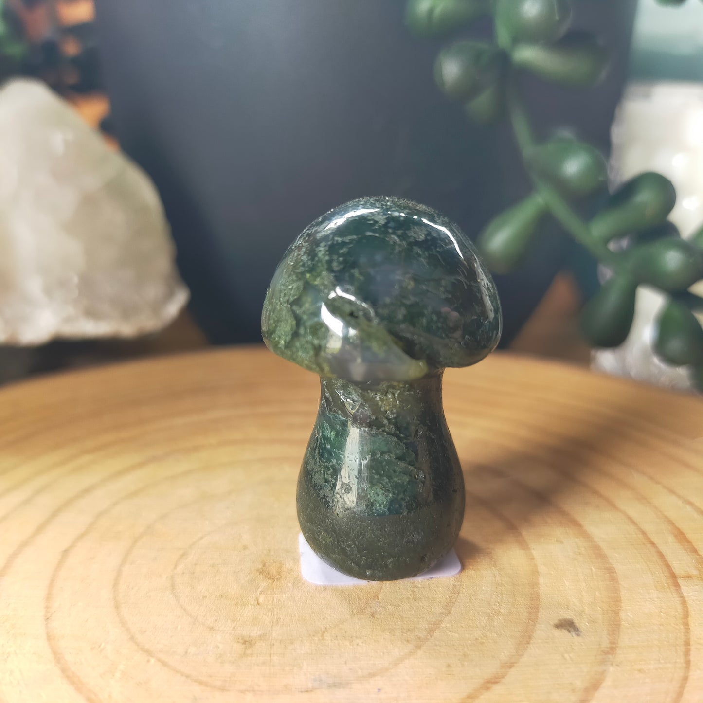 Moss Agate Mushrooms