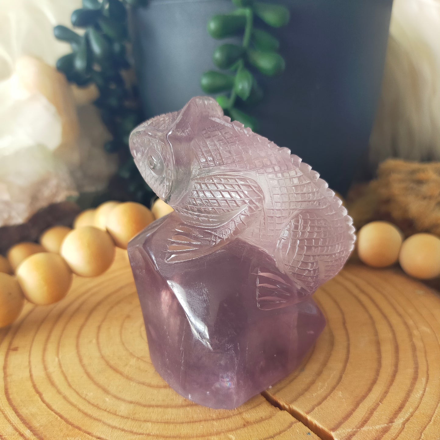 Fluorite Chameleon