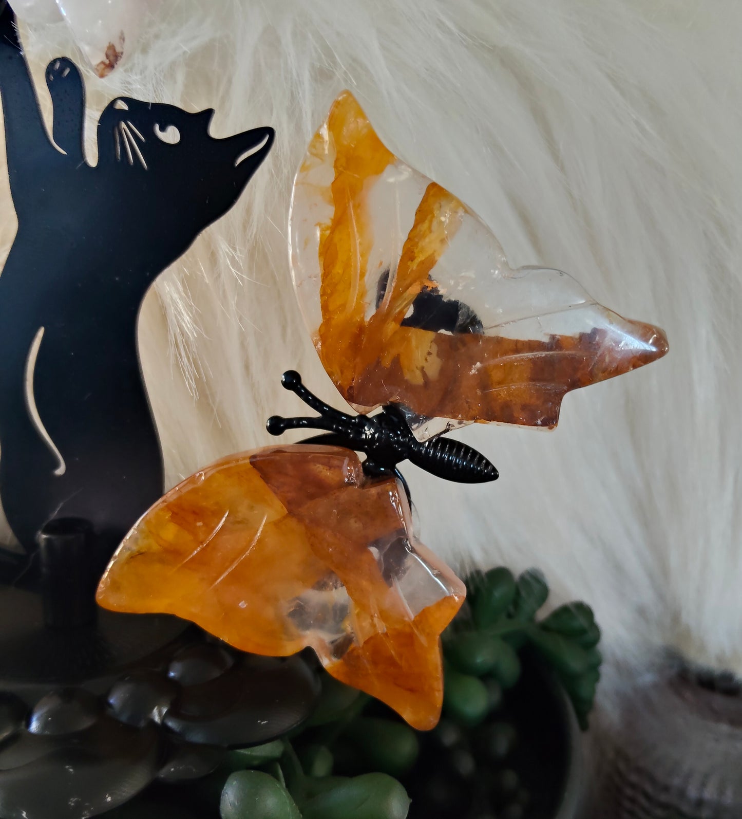 Cat catching butterflies