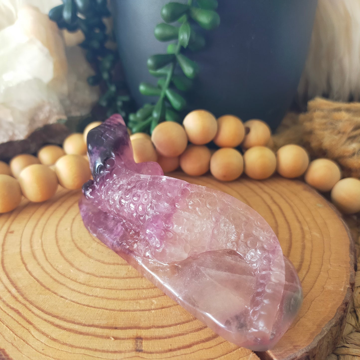 Fluorite Lizard