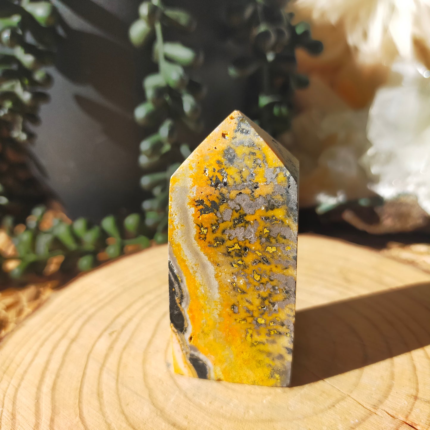 Bumblebee Jasper Points