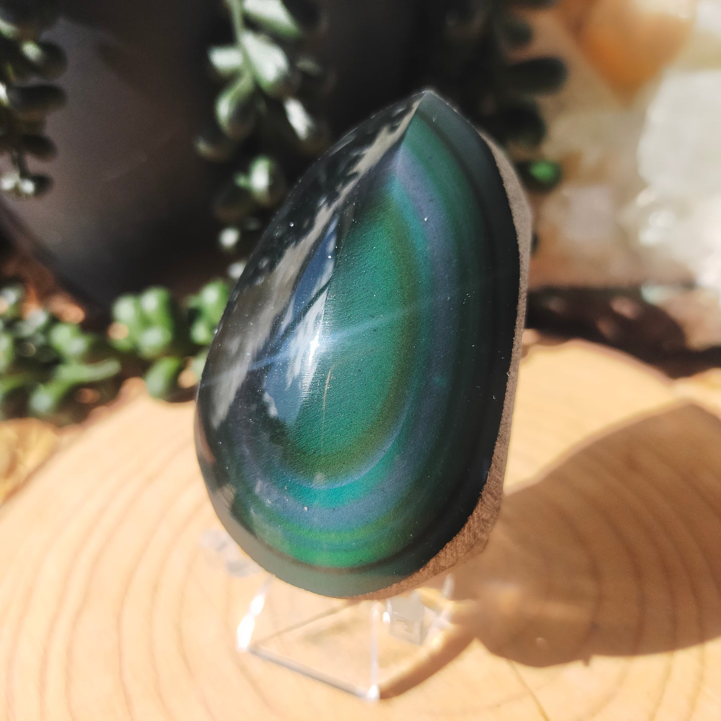Rainbow Obsidian Freeform