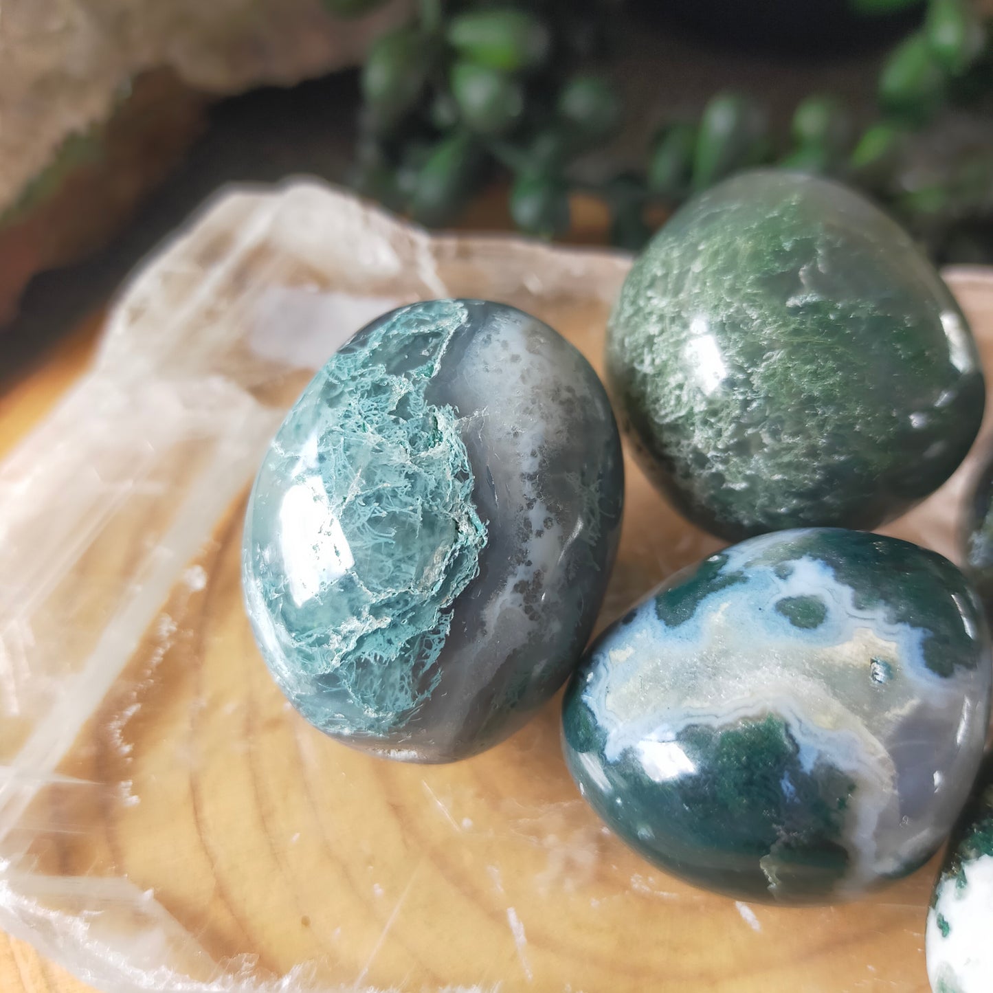Moss Agate Tumbles