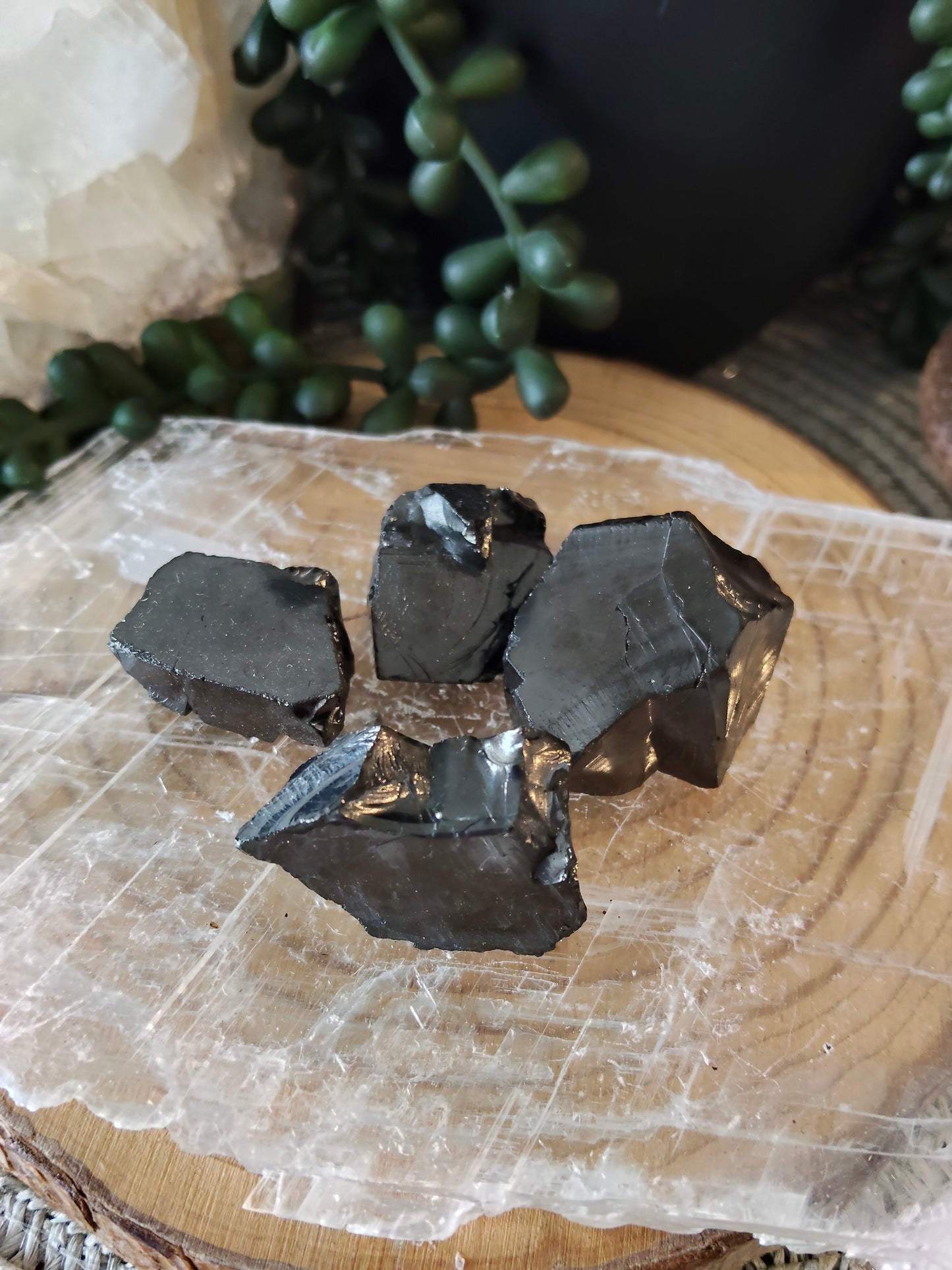 Elite Shungite