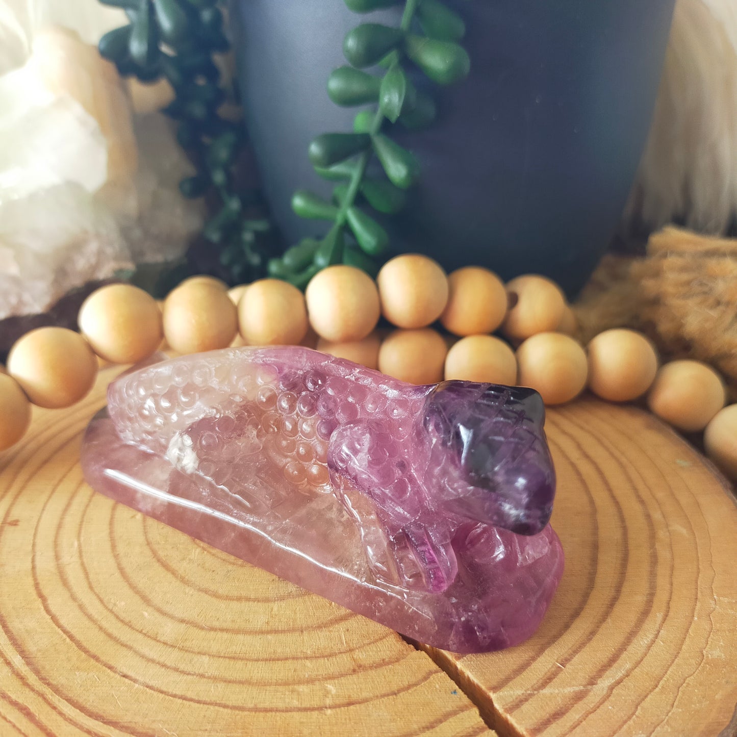 Fluorite Lizard